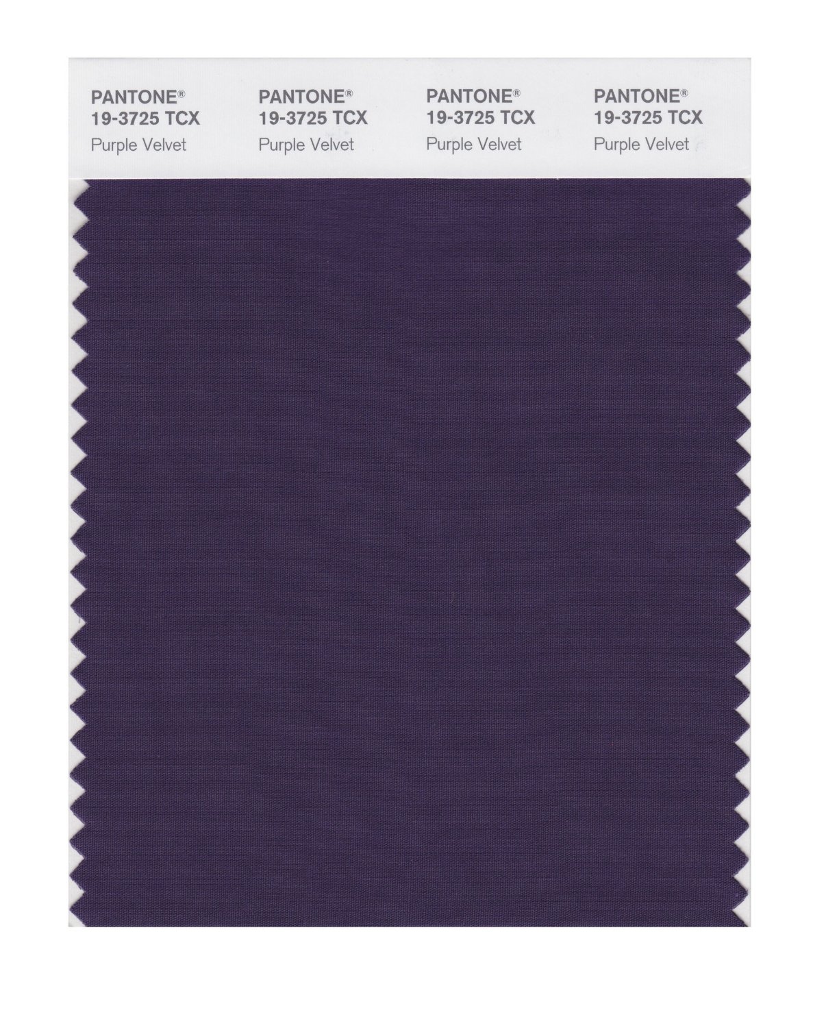 Pantone Cotton Swatch 19-3725 Purple Velvet