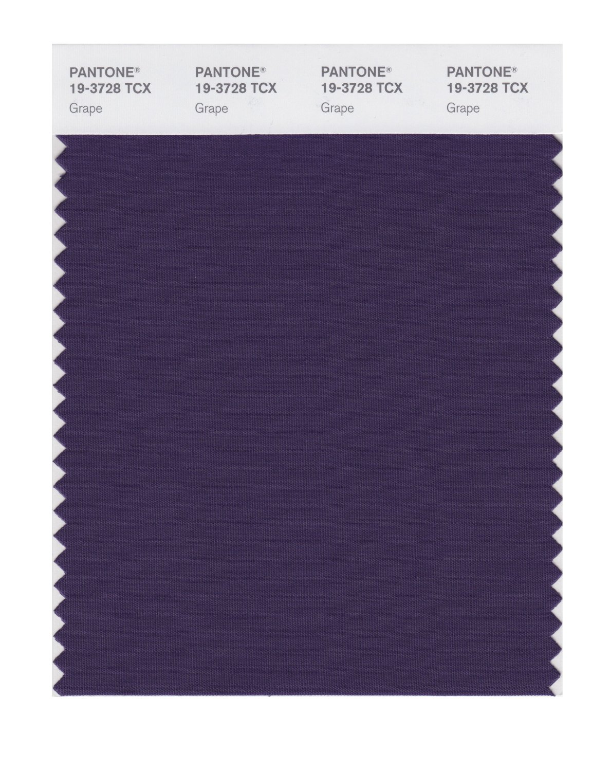 Pantone Cotton Swatch 19-3728 Grape