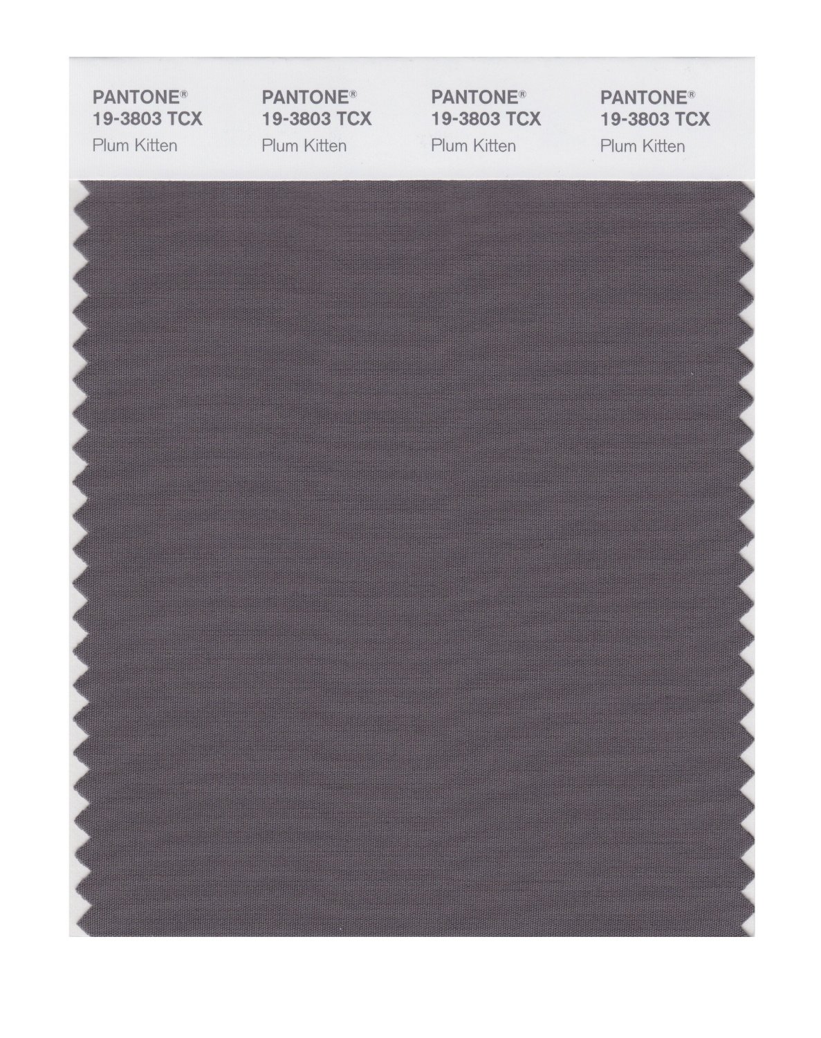 Pantone Cotton Swatch 19-3803 Plum Kitten