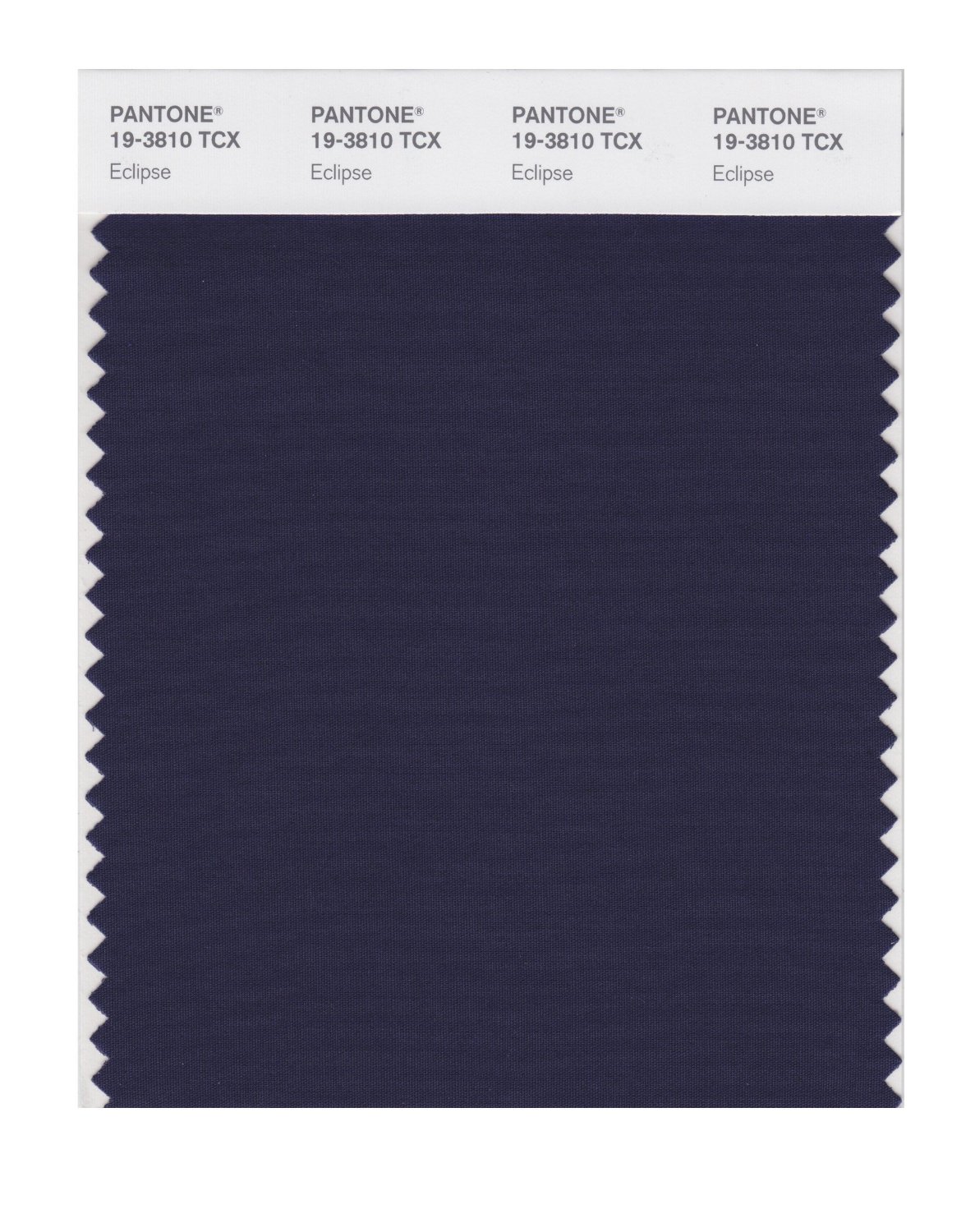 Pantone Cotton Swatch 19-3810 Eclipse