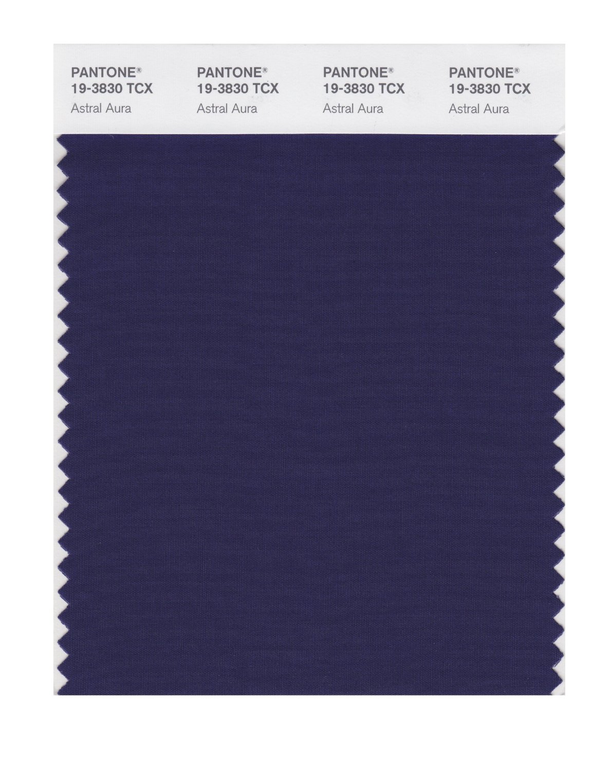 Pantone Cotton Swatch 19-3830 Astral Aura