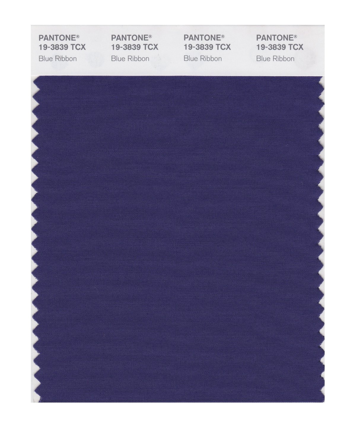 Pantone Cotton Swatch 19-3839 Blue Ribbon