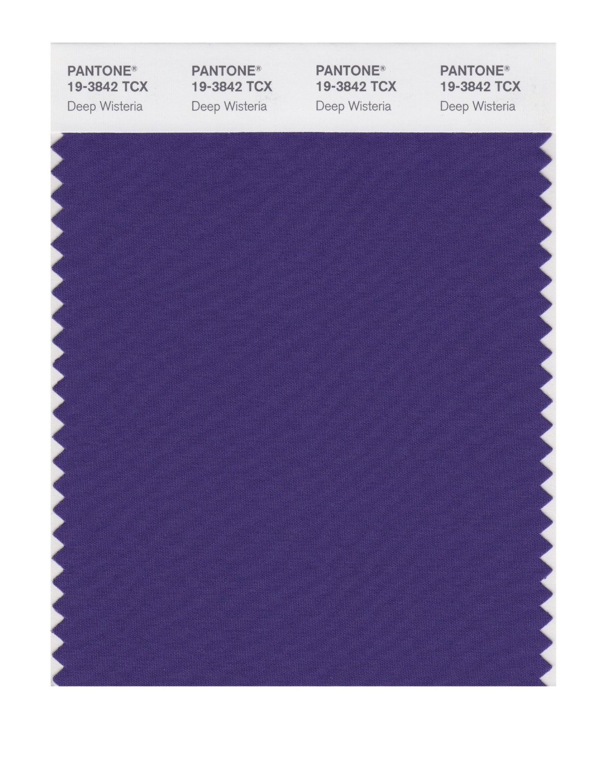 Pantone Cotton Swatch 19-3842 Deep Wisteria