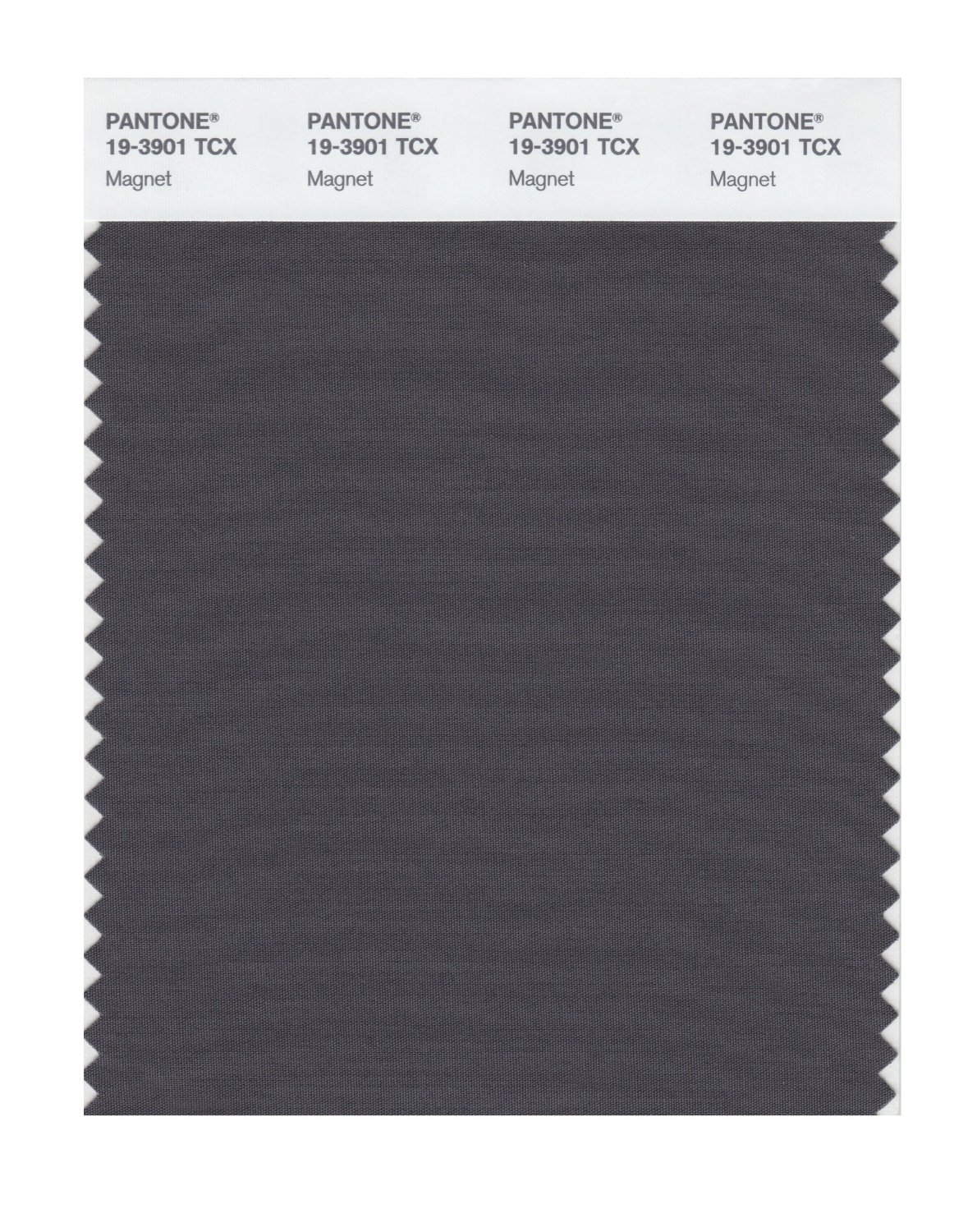 Pantone Cotton Swatch 19-3901 Magnet