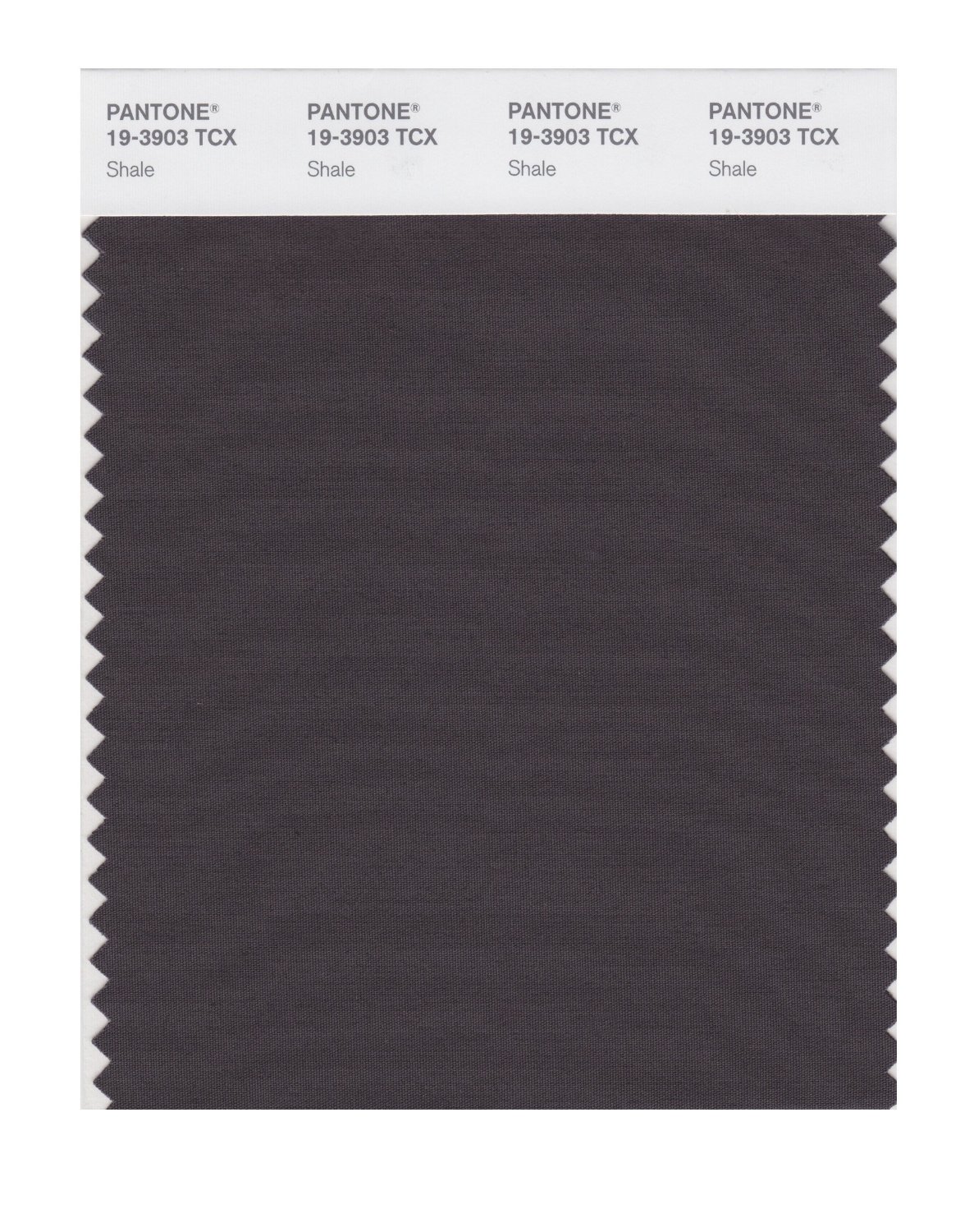 Pantone Cotton Swatch 19-3903 Shale