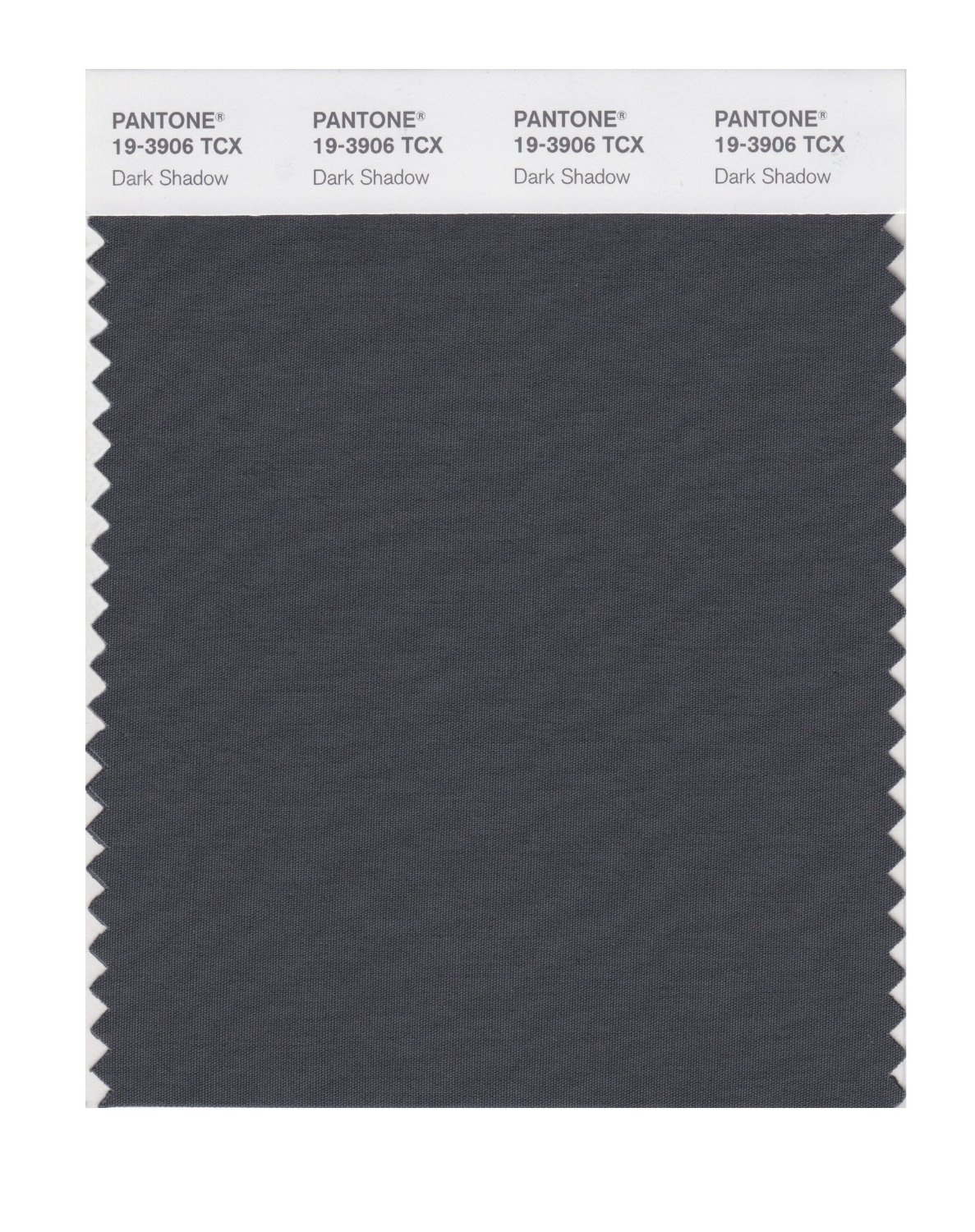 Pantone Cotton Swatch 19-3906 Dark Shadow