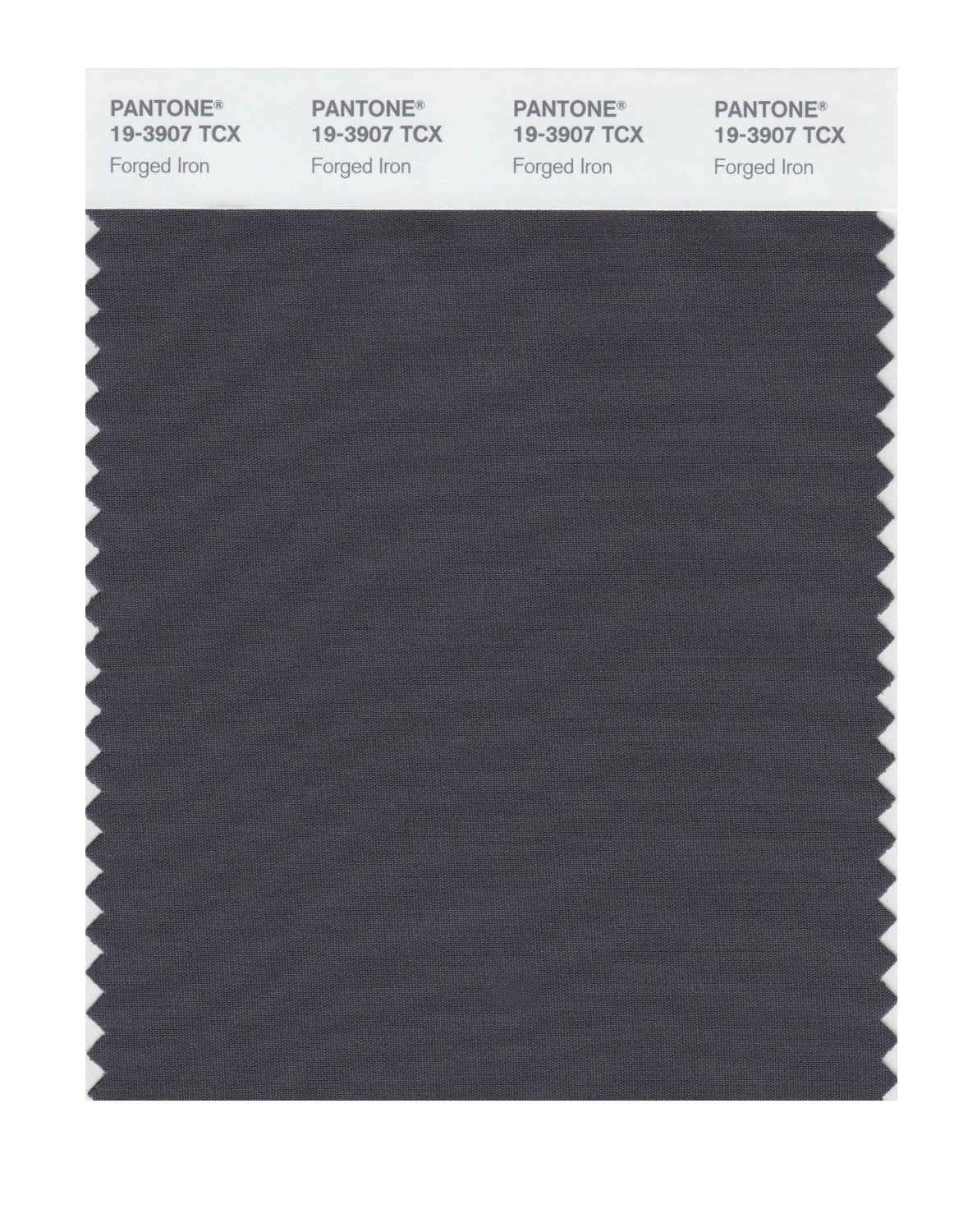 Pantone Cotton Swatch 19-3907 Forged Iron