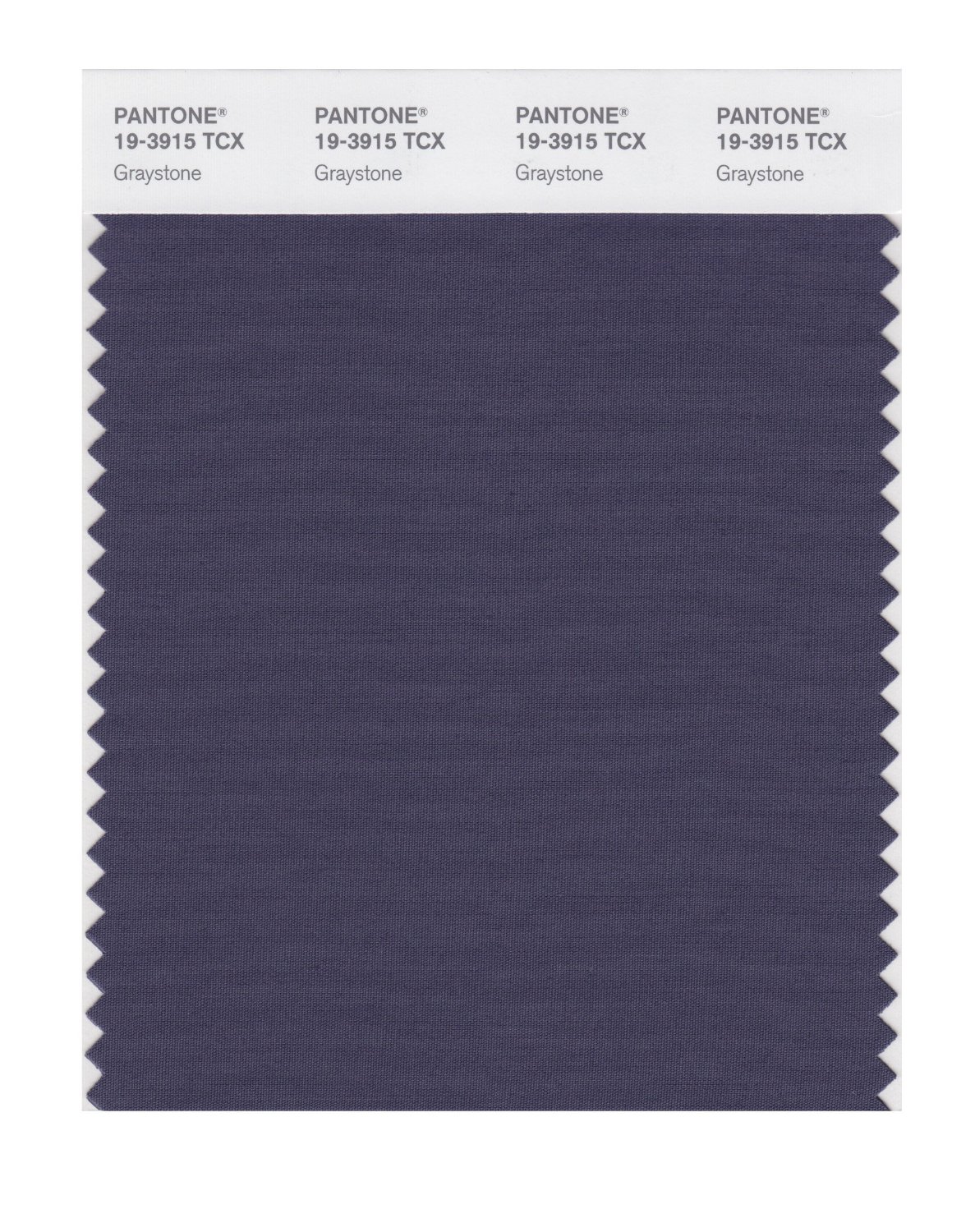 Pantone Cotton Swatch 19-3915 Graystone