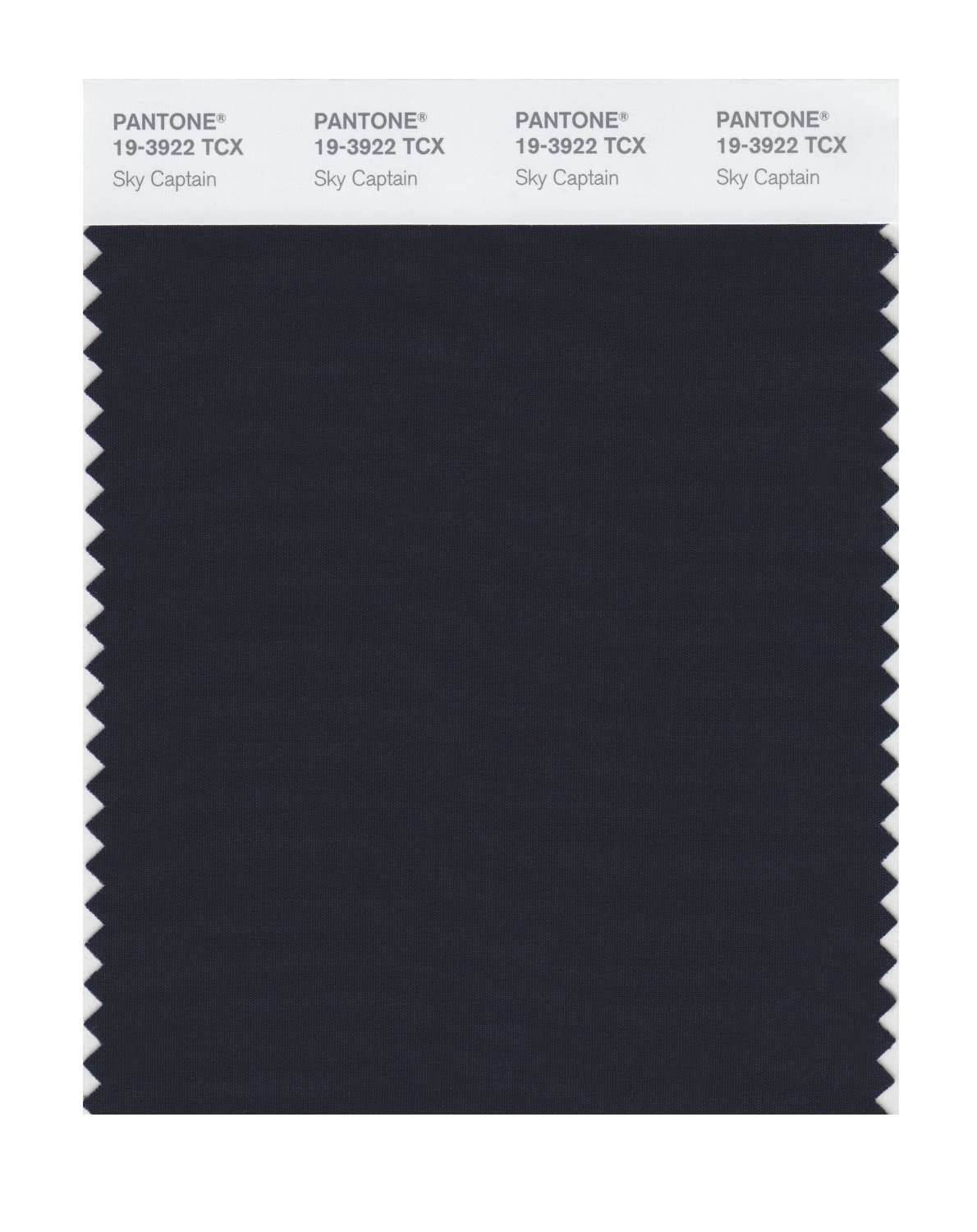 Pantone Cotton Swatch 19-3922 Sky Captain