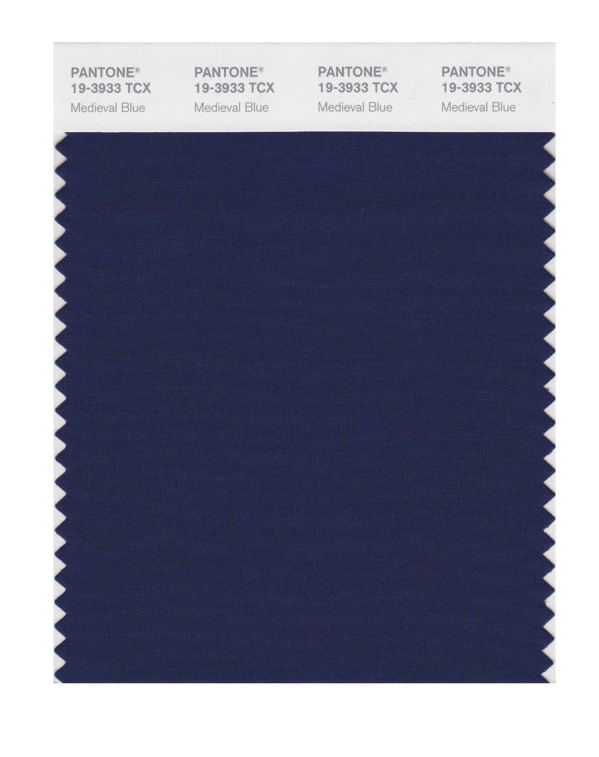 Pantone Cotton Swatch 19-3933 Medieval Blue