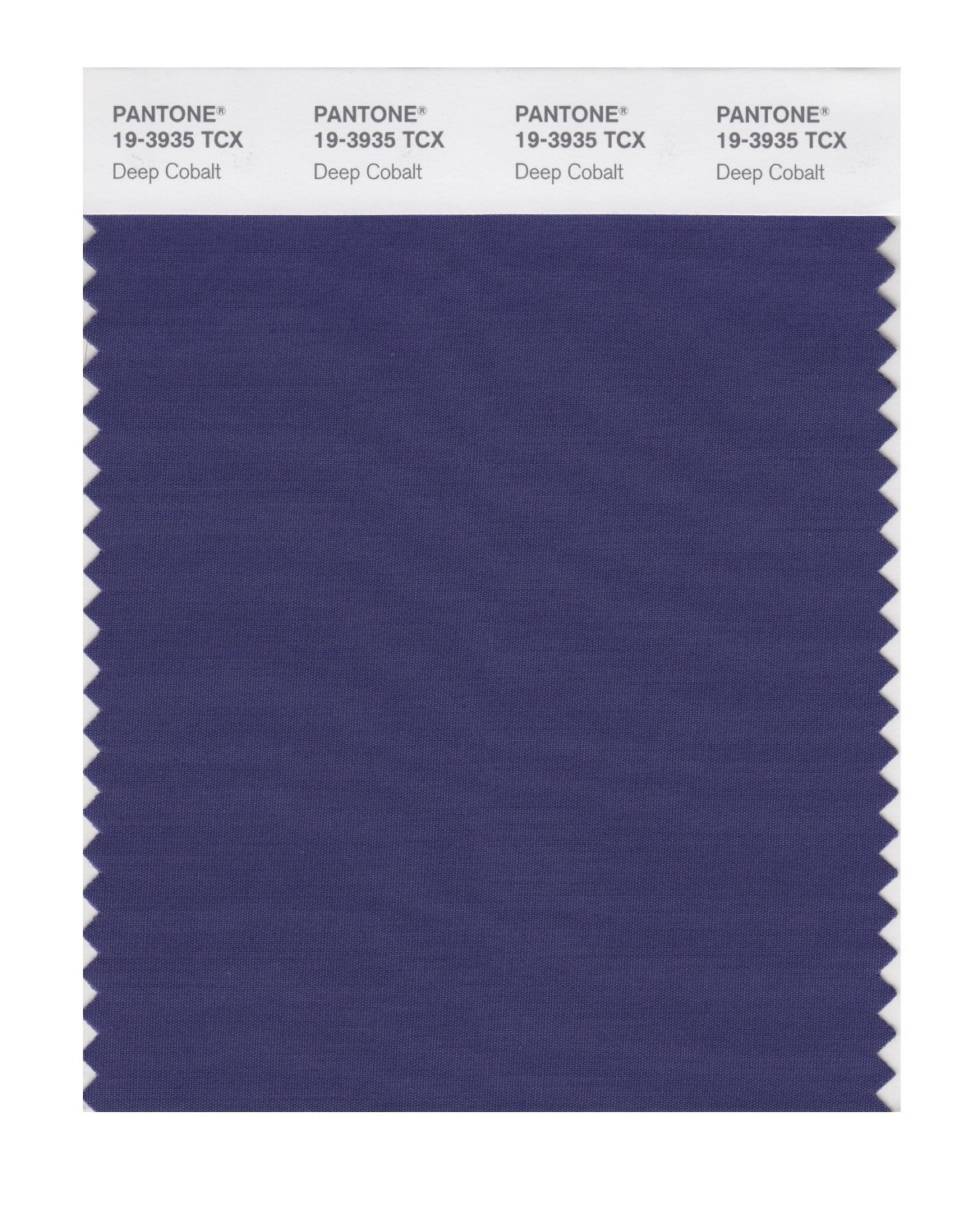 Pantone Cotton Swatch 19-3935 Deep Cobalt