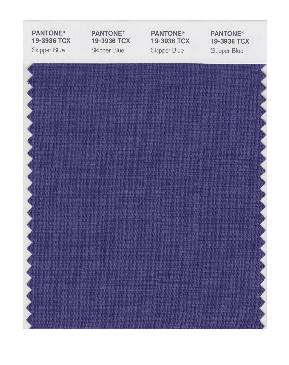 Pantone Cotton Swatch 19-3936 Skipper Blue