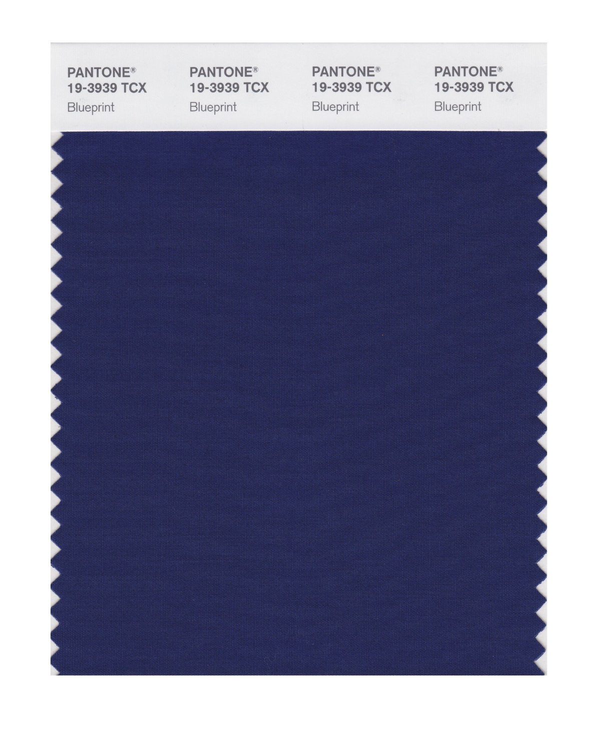 Pantone Cotton Swatch 19-3939 Blueprint