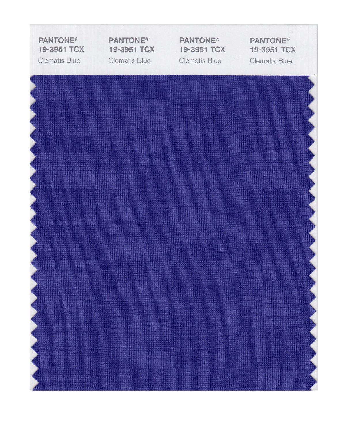 Pantone Cotton Swatch 19-3951 Clematis Blue