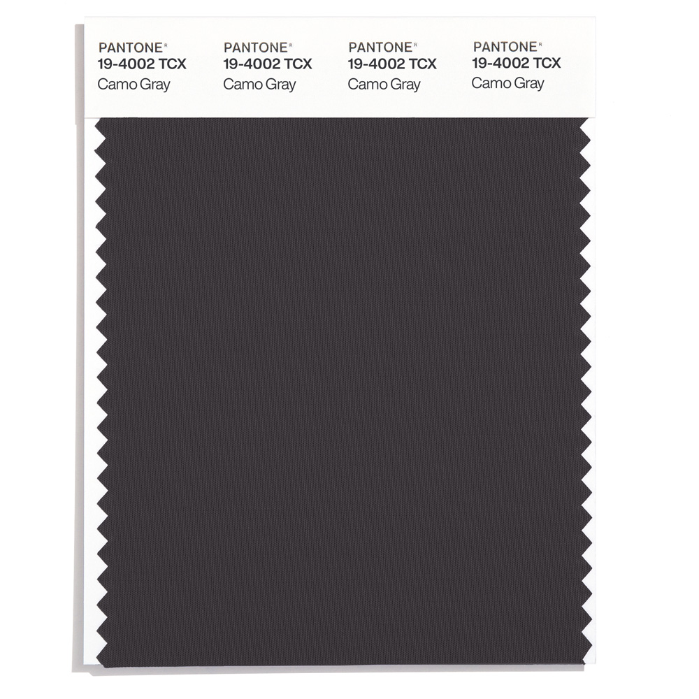 Pantone Polyester Swatch 19-4002 Basalt