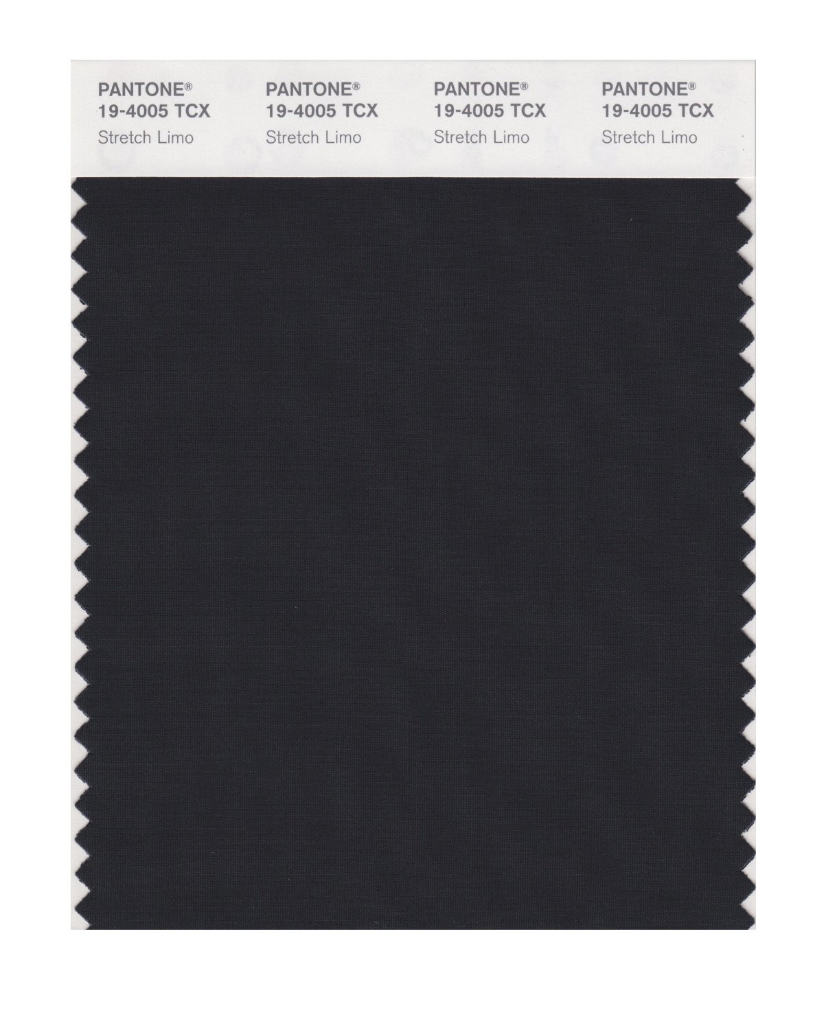 Pantone Cotton Swatch 19-4005 Stretch Limo