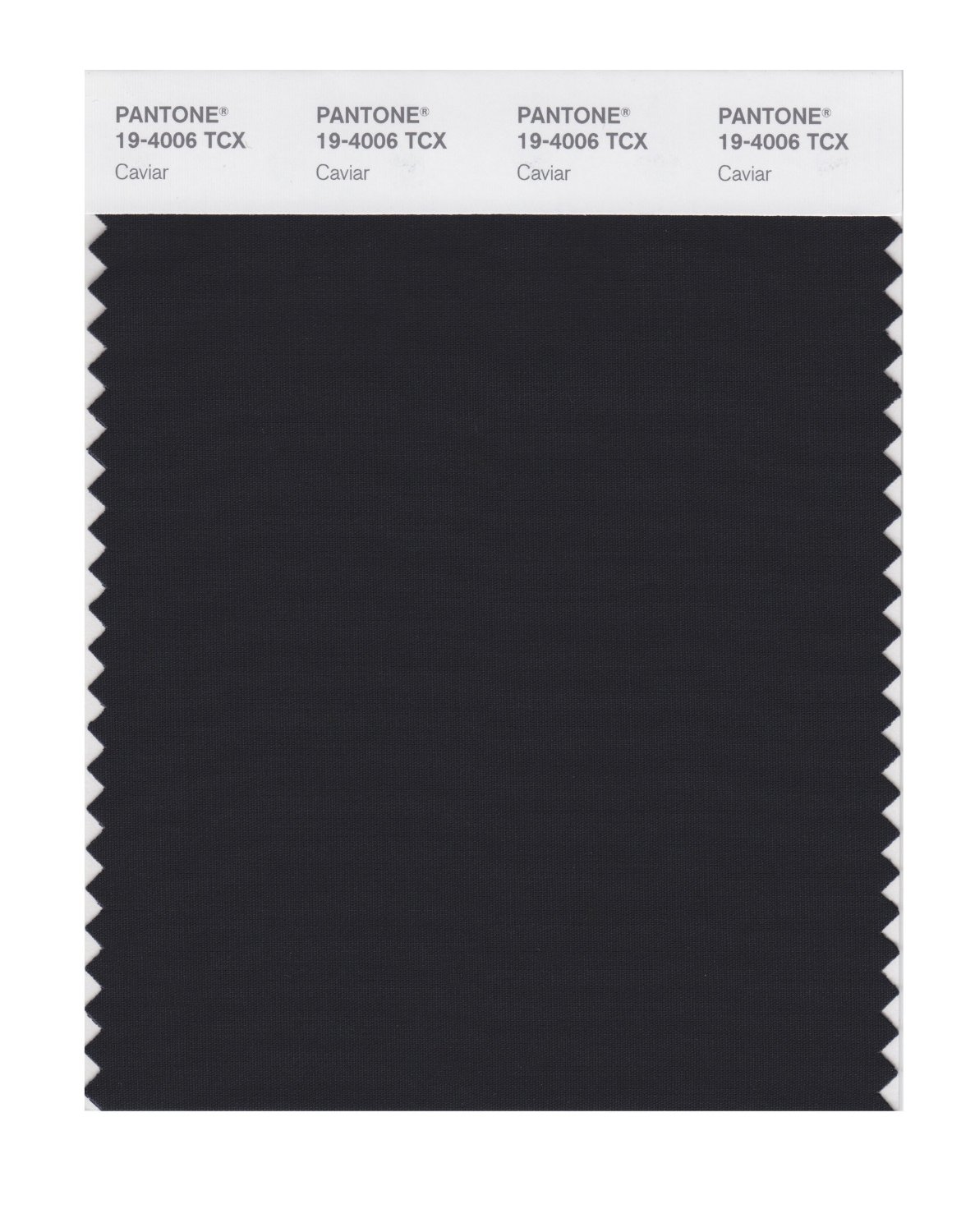 Pantone Cotton Swatch 19-4006 Caviar