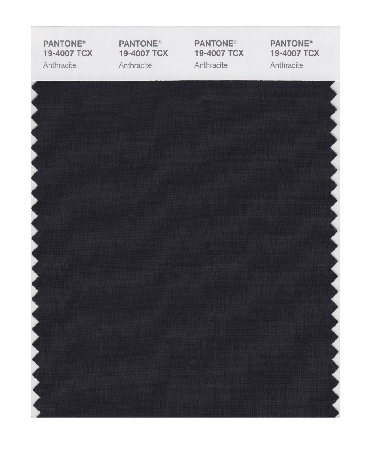 Pantone Cotton Swatch 19-4007 Anthracite