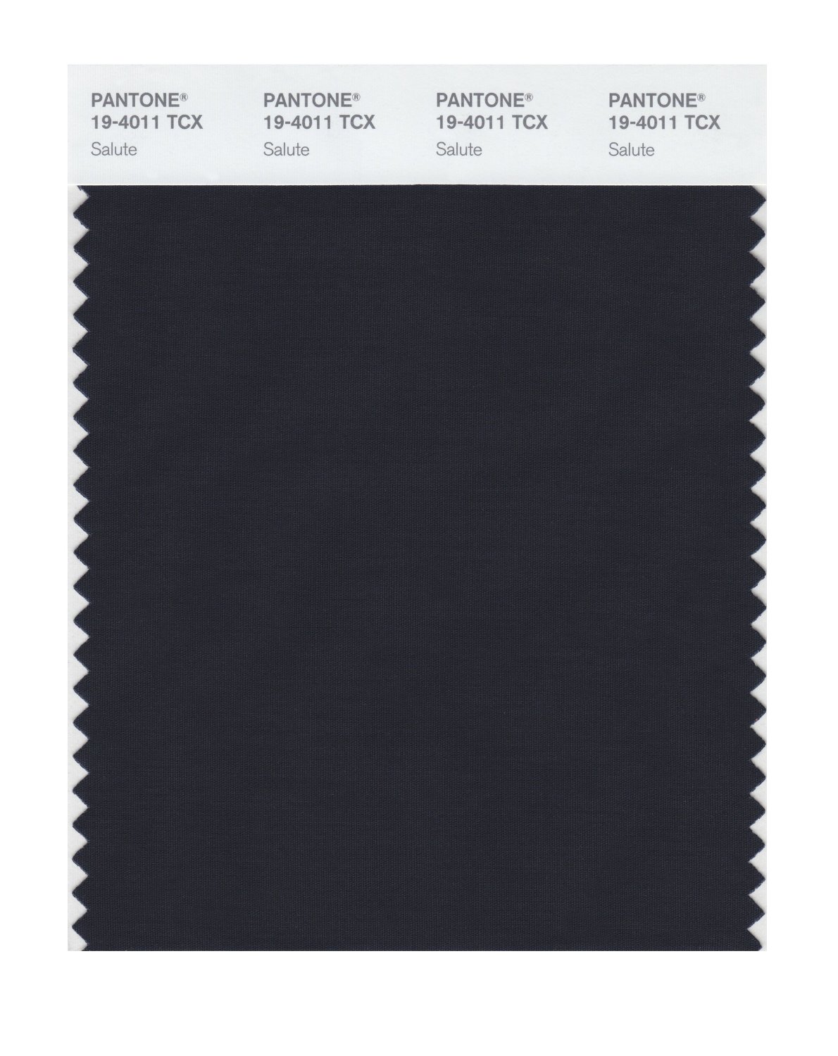 Pantone Cotton Swatch 19-4011 Salute