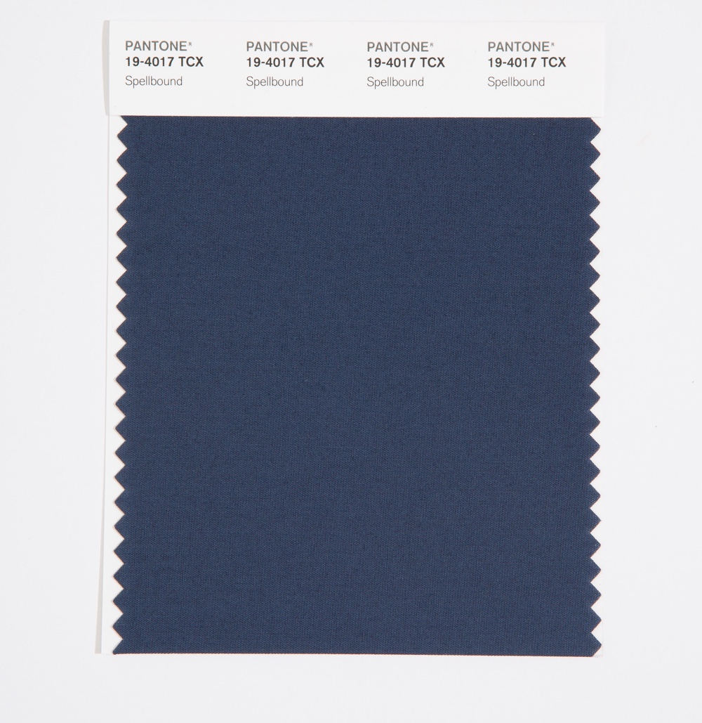 Pantone Cotton Swatch 19-4017 Spellbound