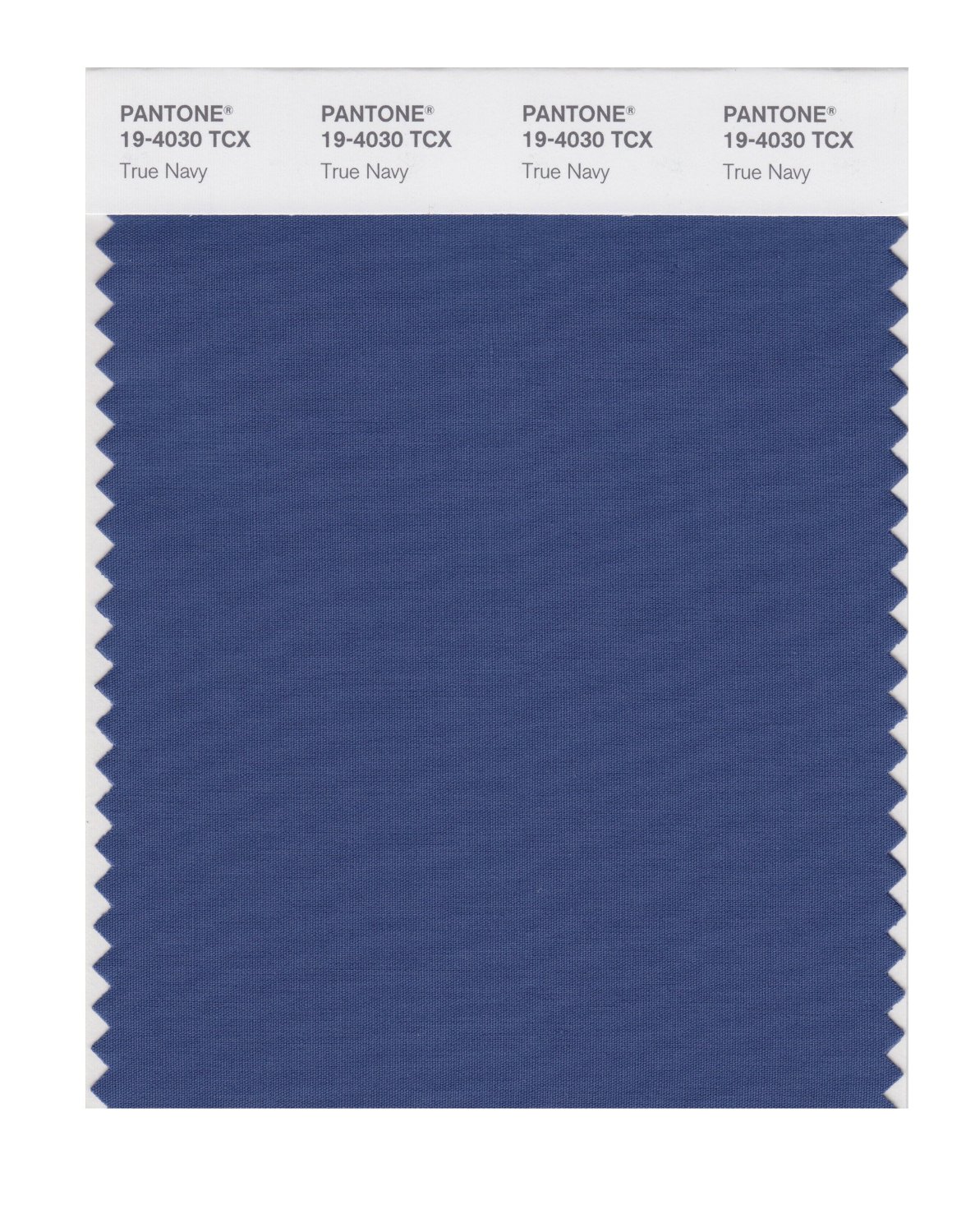 Pantone Cotton Swatch 19-4030 True Navy