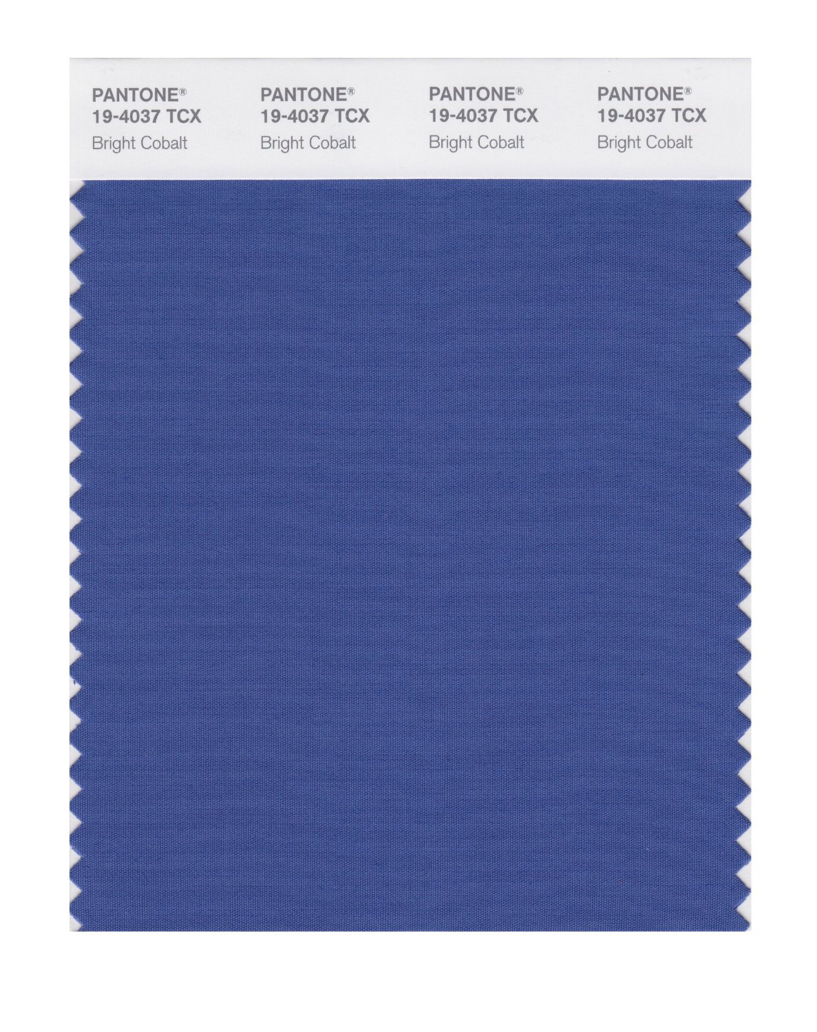 Pantone Cotton Swatch 19-4037 Bright Cobalt