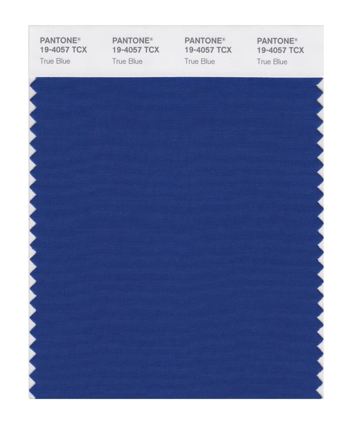 Pantone Cotton Swatch 19-4057 True Blue