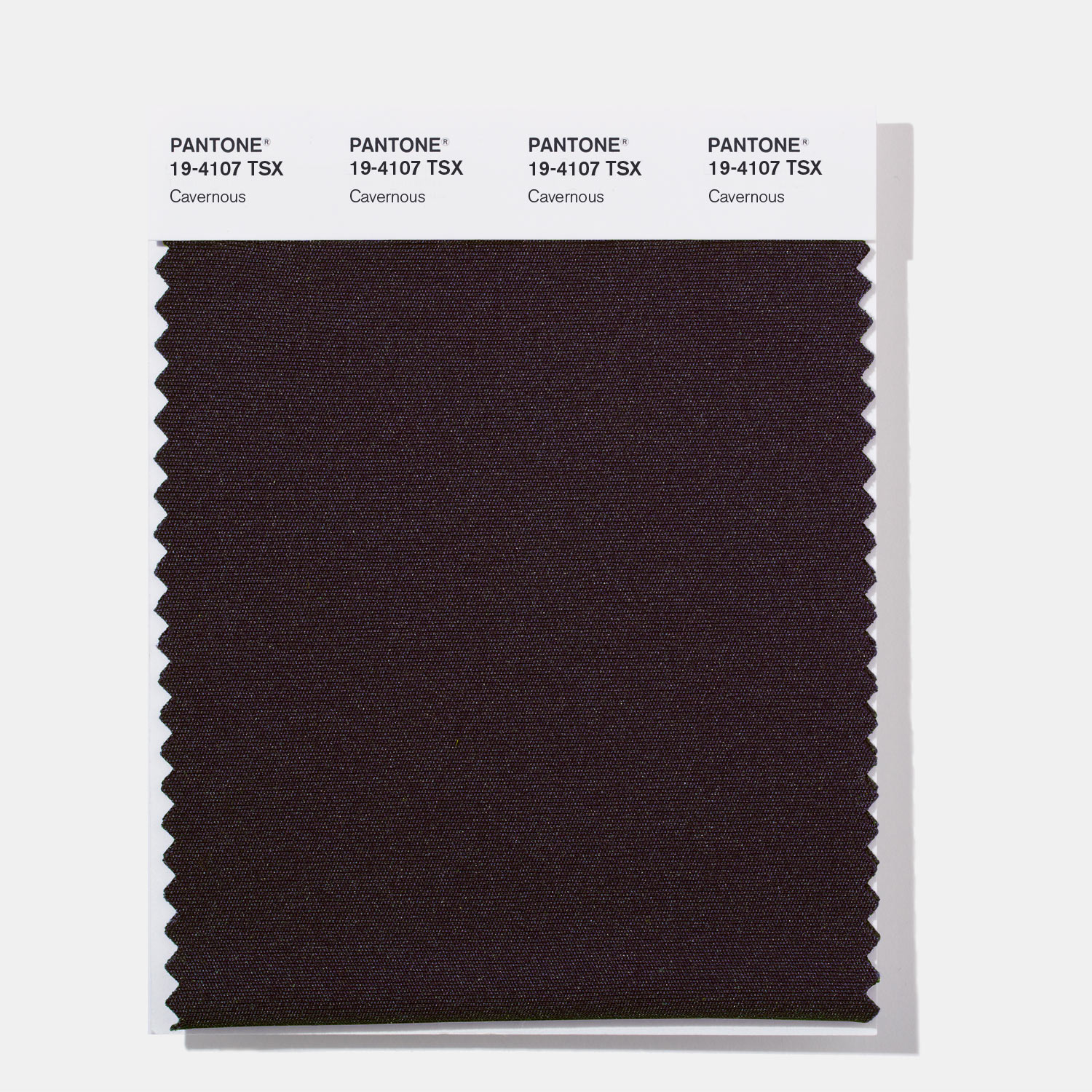 Pantone Polyester Swatch 19-4107 Cavernous