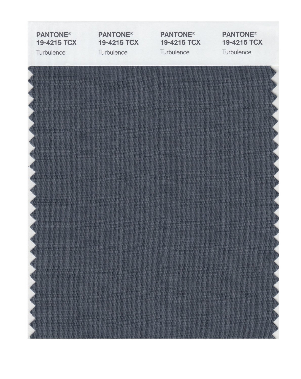 Pantone Cotton Swatch 19-4215 Turbulence