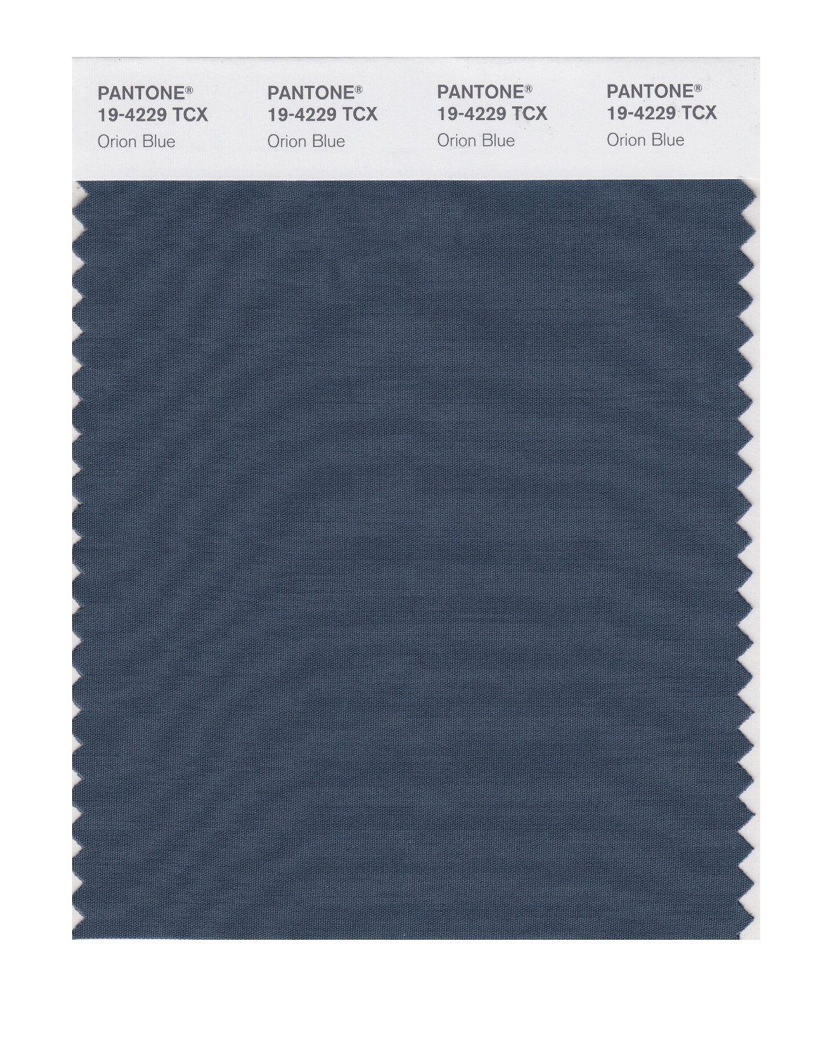 Pantone Cotton Swatch 19-4229 Orion Blue