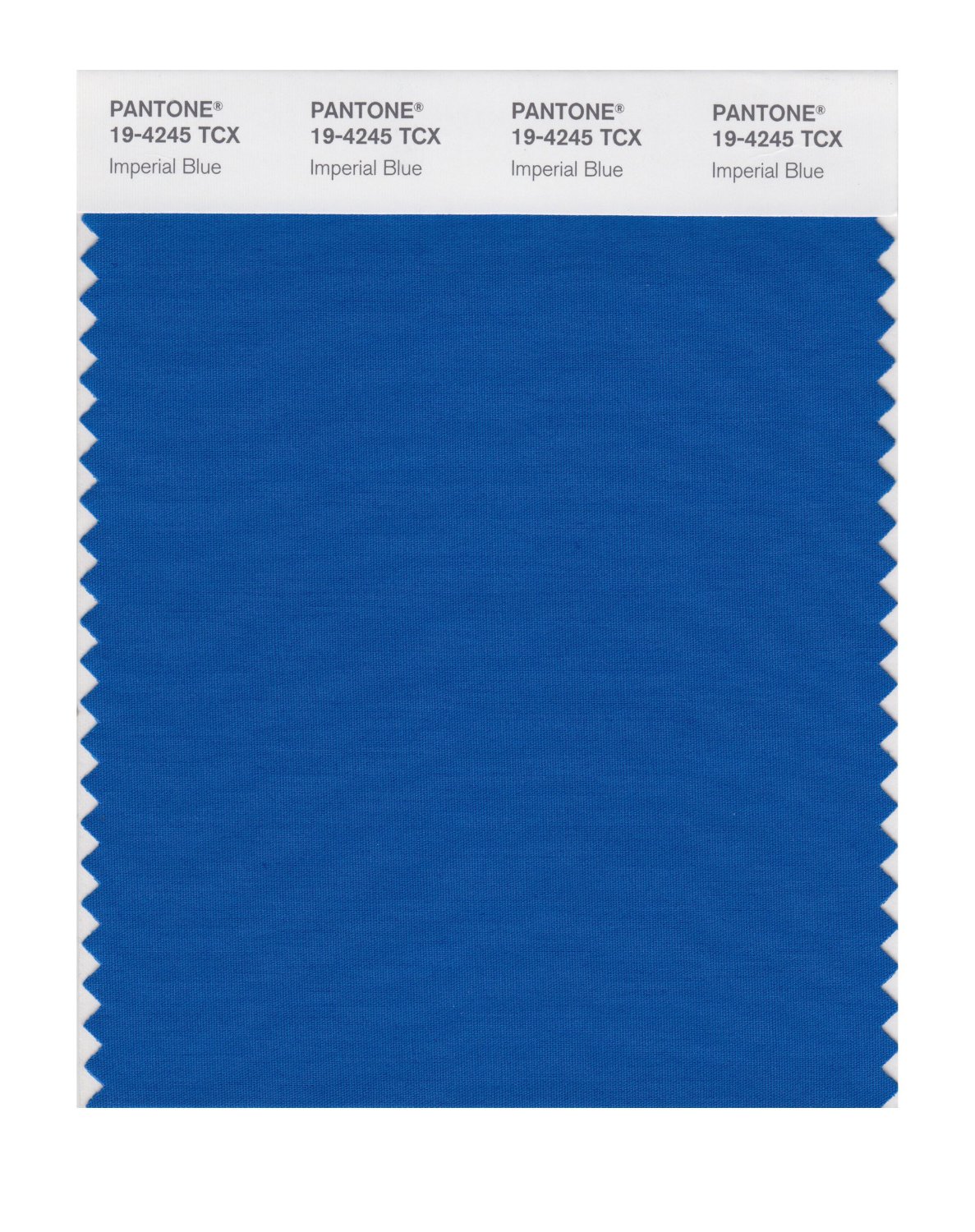 Pantone Cotton Swatch 19-4245 Imperial Blue