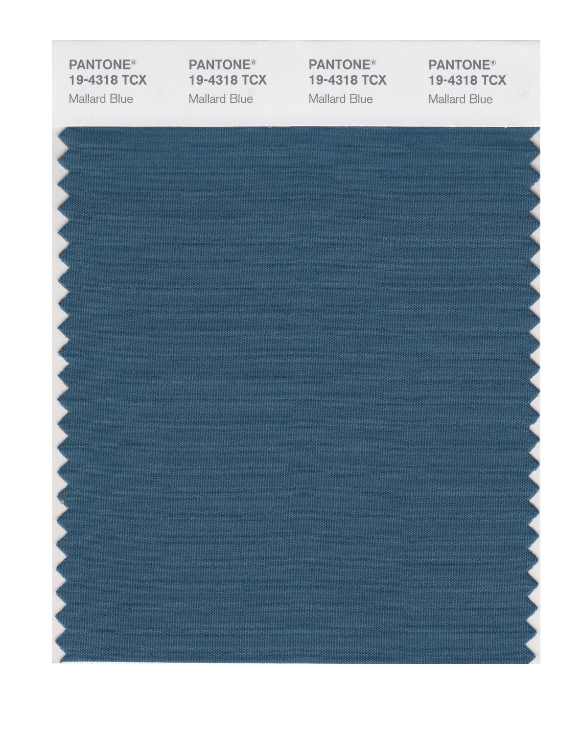 Pantone Cotton Swatch 19-4318 Mallard Blue