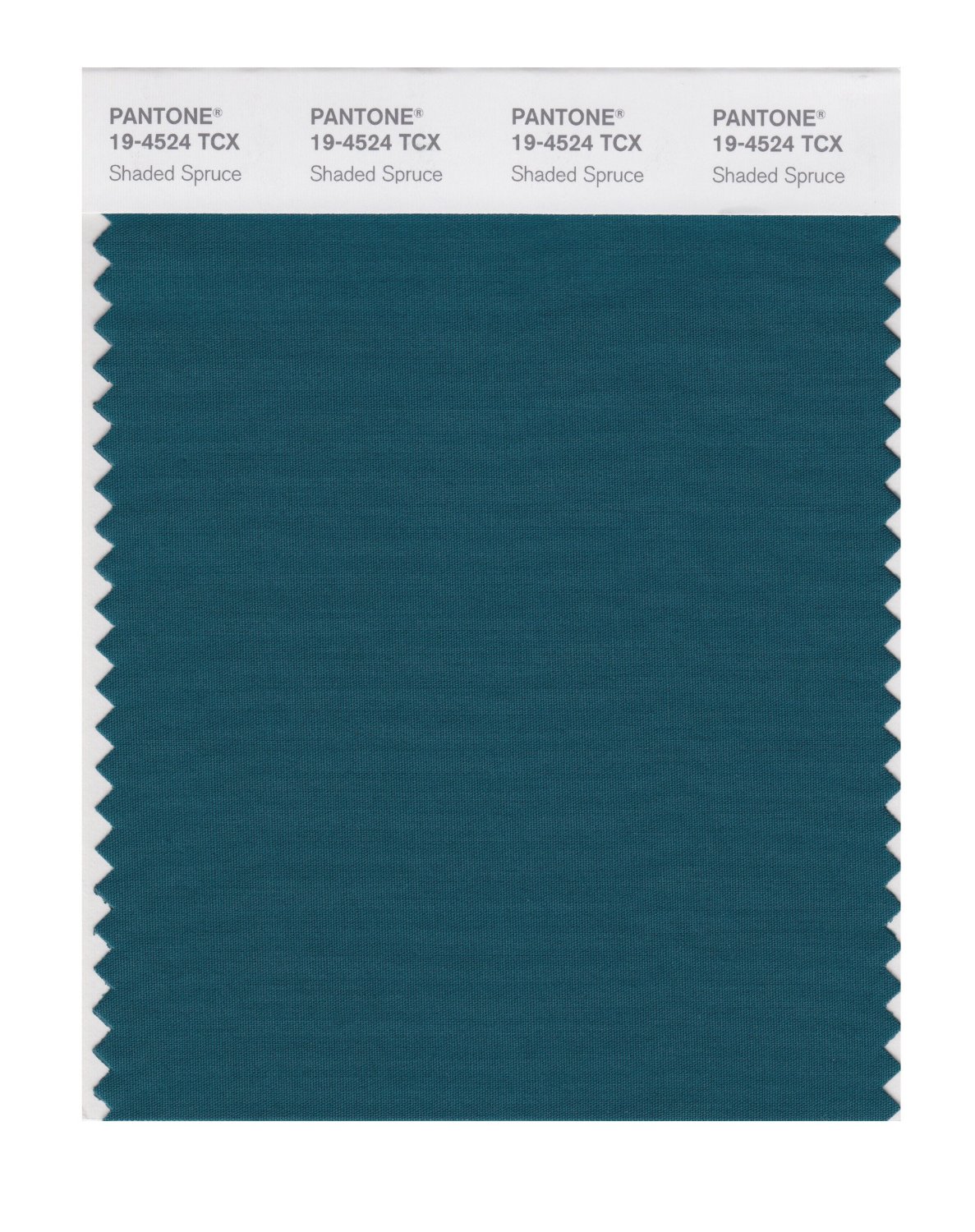 Pantone Cotton Swatch 19-4524 Shaded Spruce