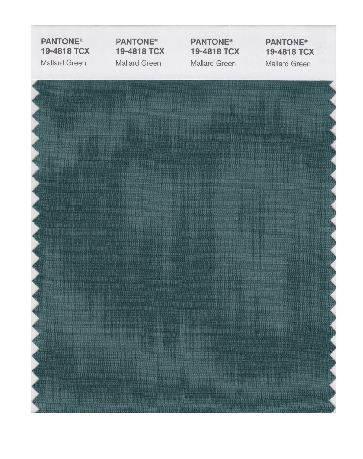 Pantone Cotton Swatch 19-4818 Mallard Green