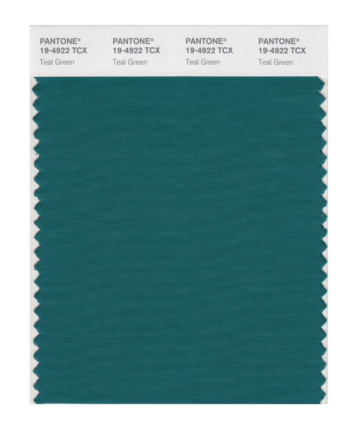 Pantone Cotton Swatch 19-4922 Teal Green