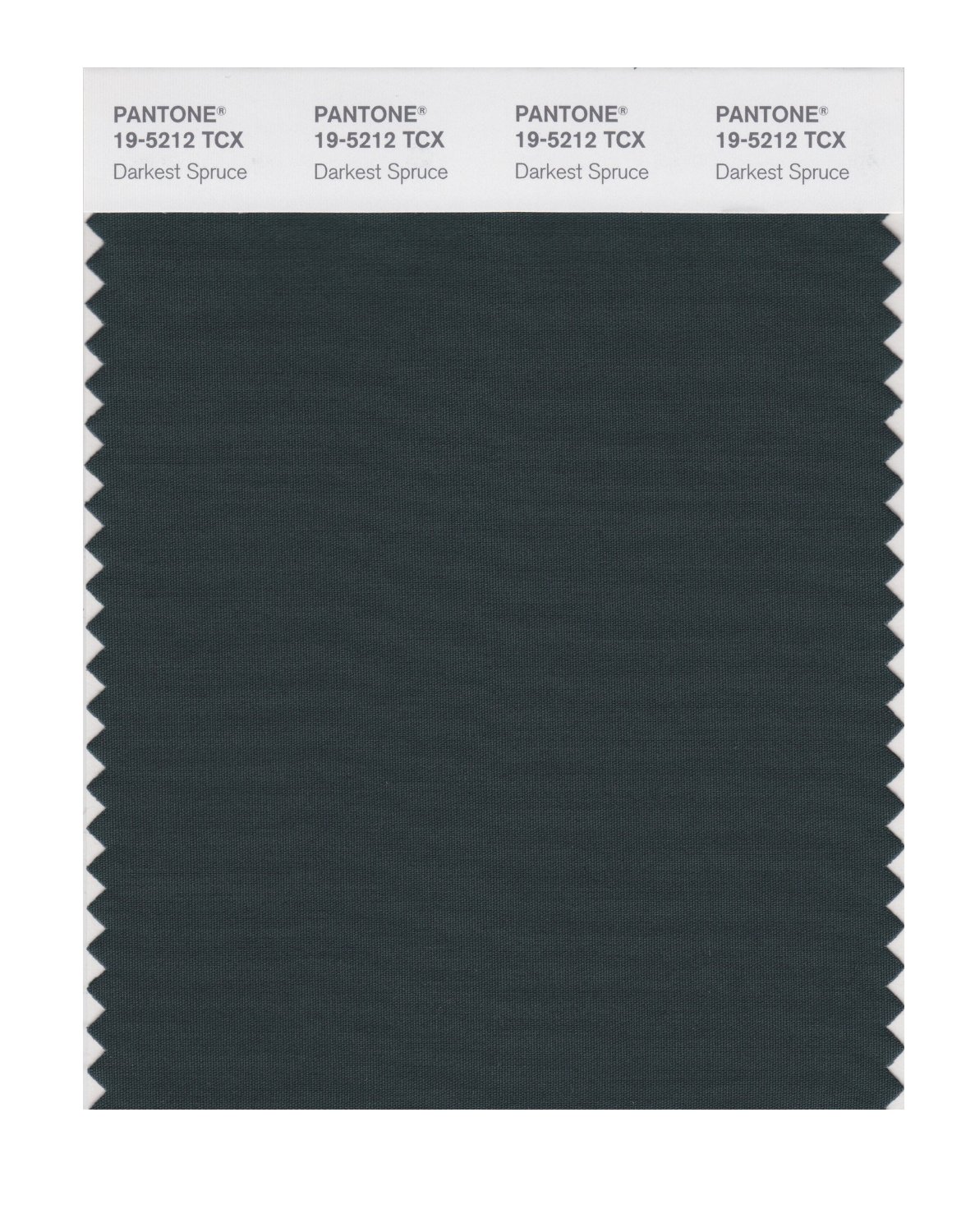 Pantone Cotton Swatch 19-5212 Darkest Spruce