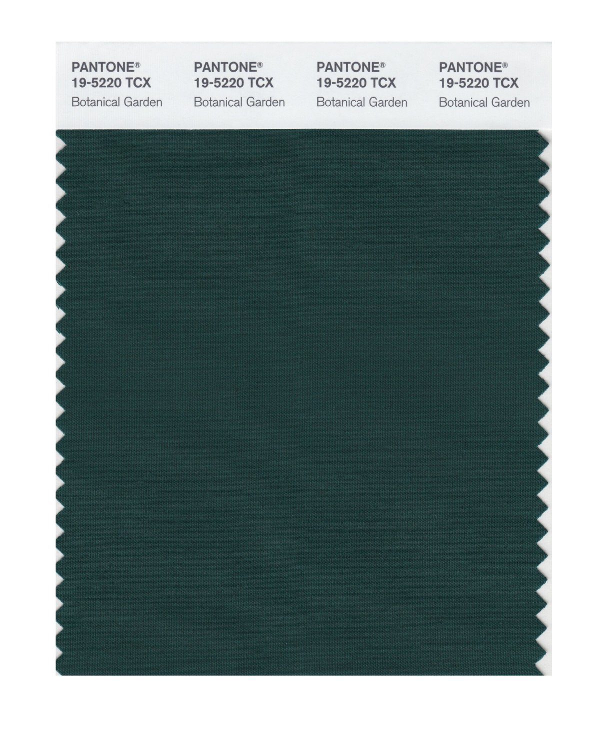 Pantone Cotton Swatch 19-5220 Botanical Garde