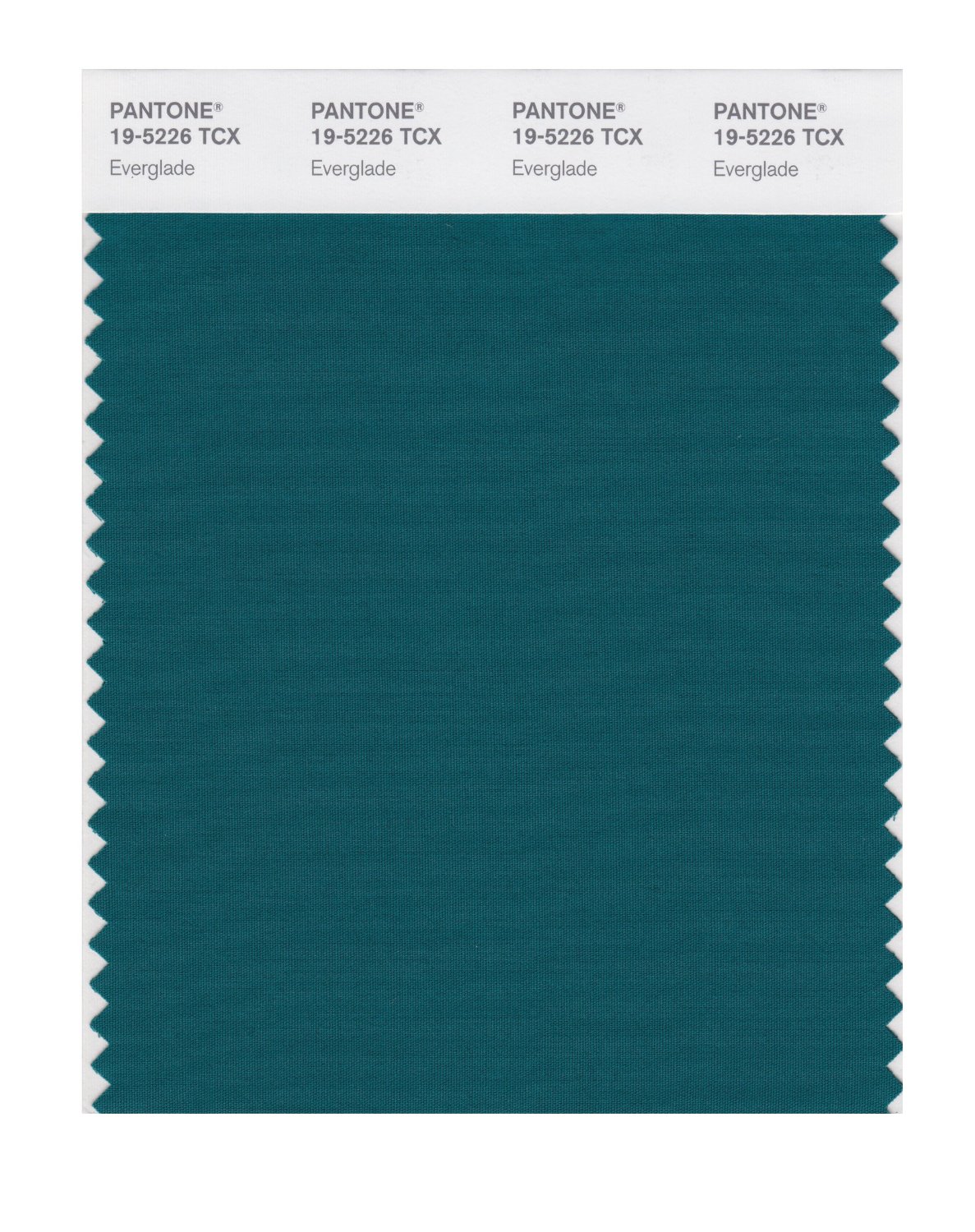 Pantone Cotton Swatch 19-5226 Everglade