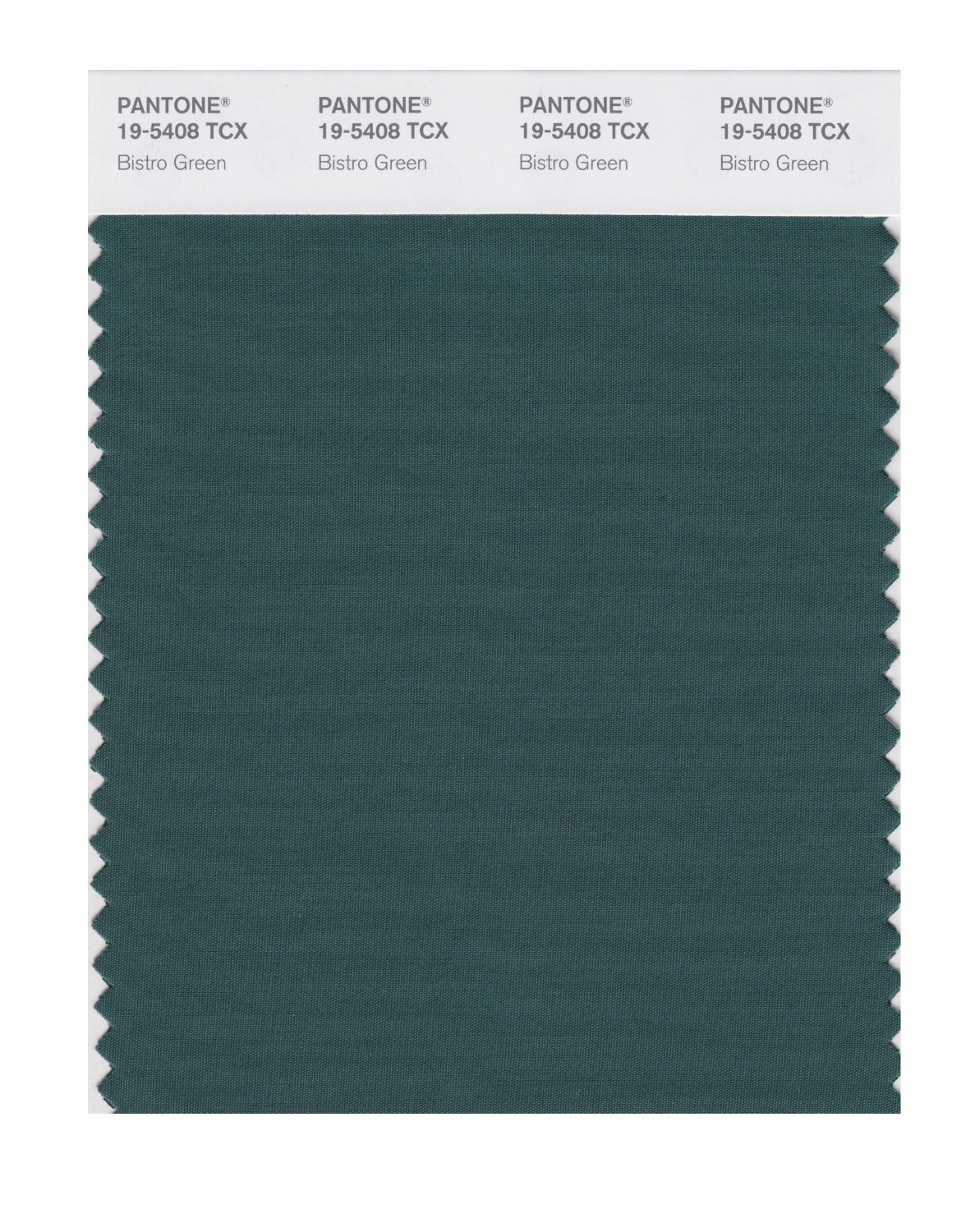 Pantone Cotton Swatch 19-5408 Bistro Green