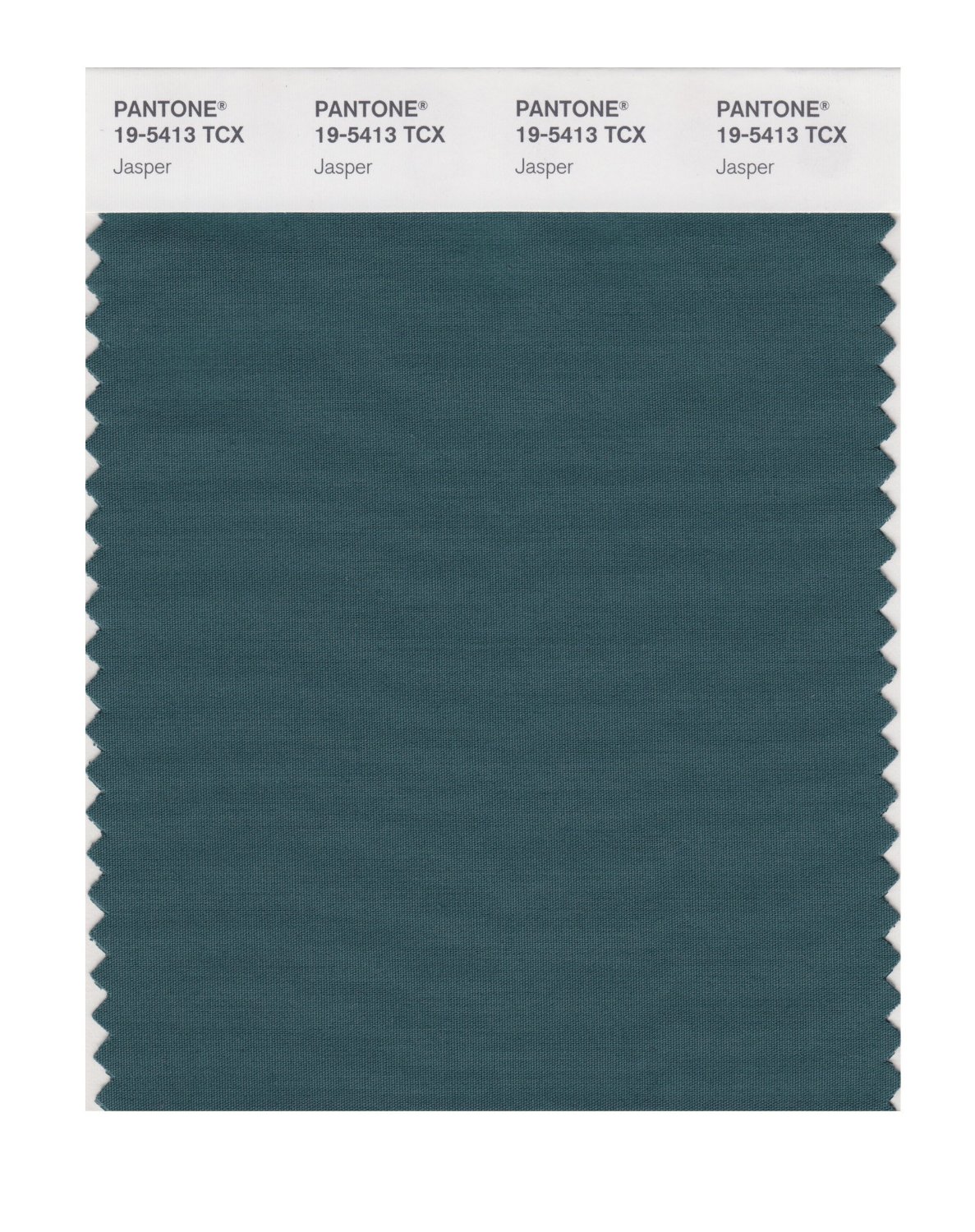 Pantone Cotton Swatch 19-5413 Jasper