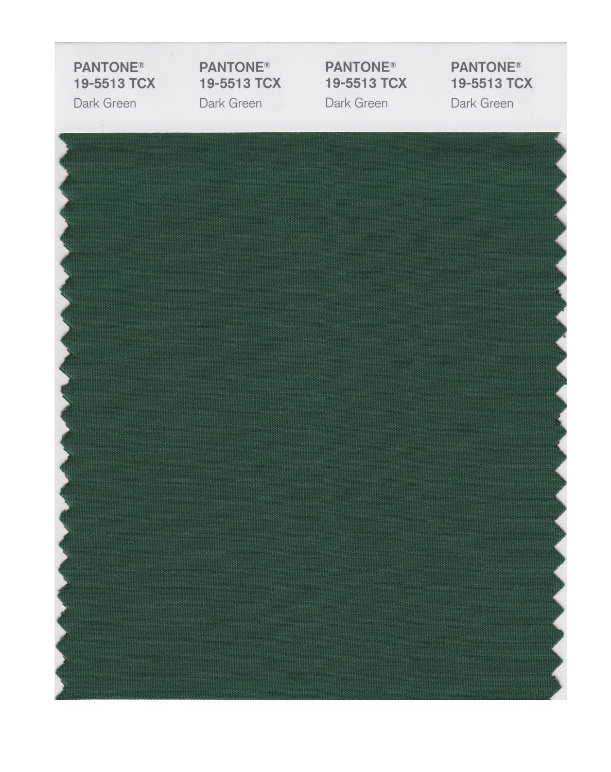 Pantone Cotton Swatch 19-5513 Dark Green
