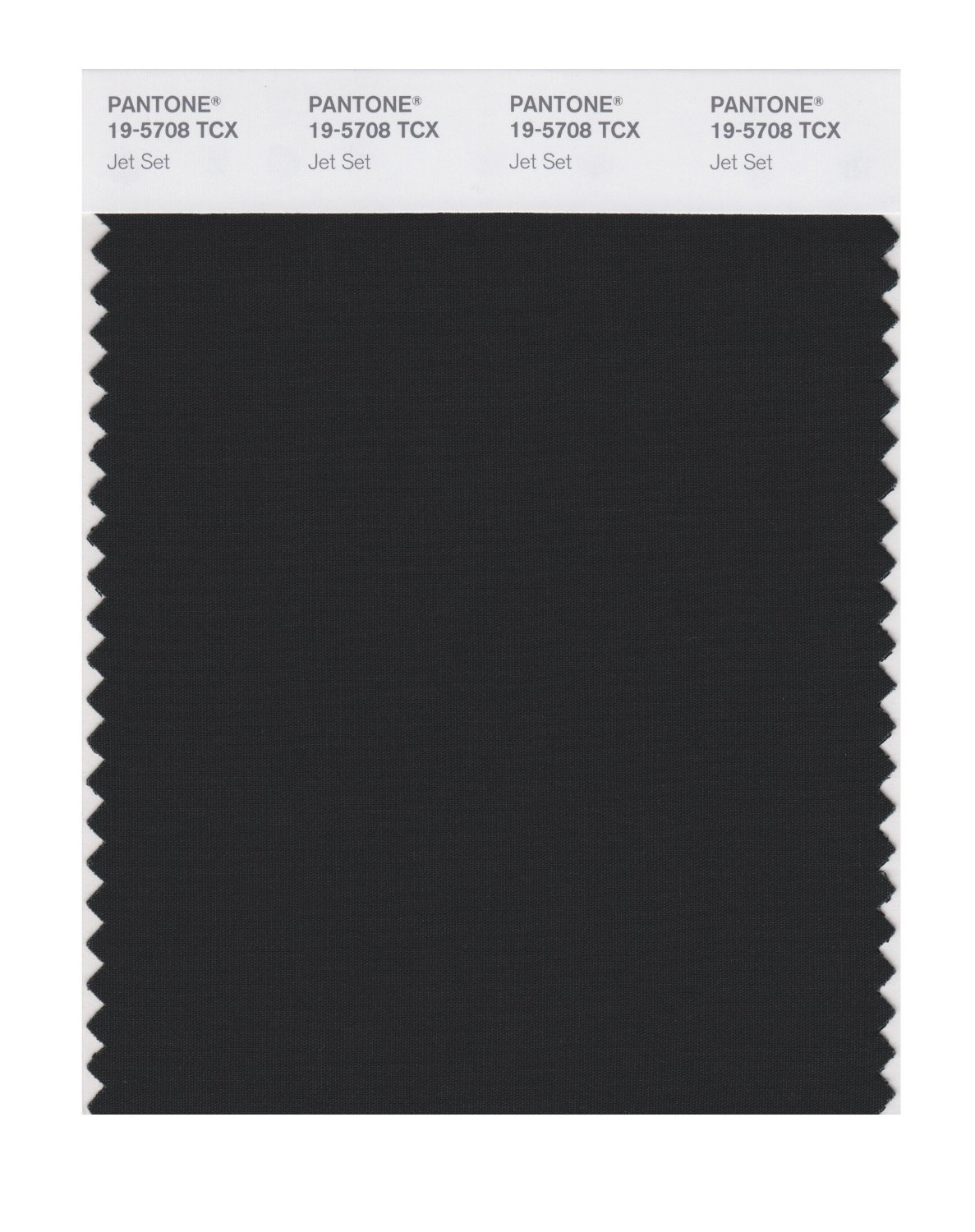 Pantone Cotton Swatch 19-5708 Jet Set