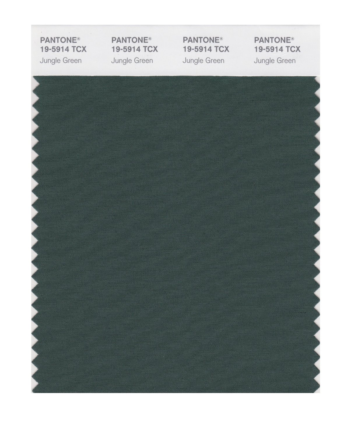 Pantone Cotton Swatch 19-5914 Jungle Green