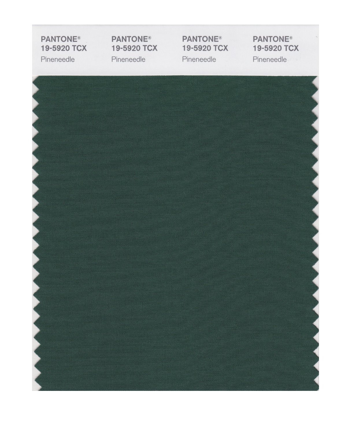 Pantone Cotton Swatch 19-5920 Pineneedle
