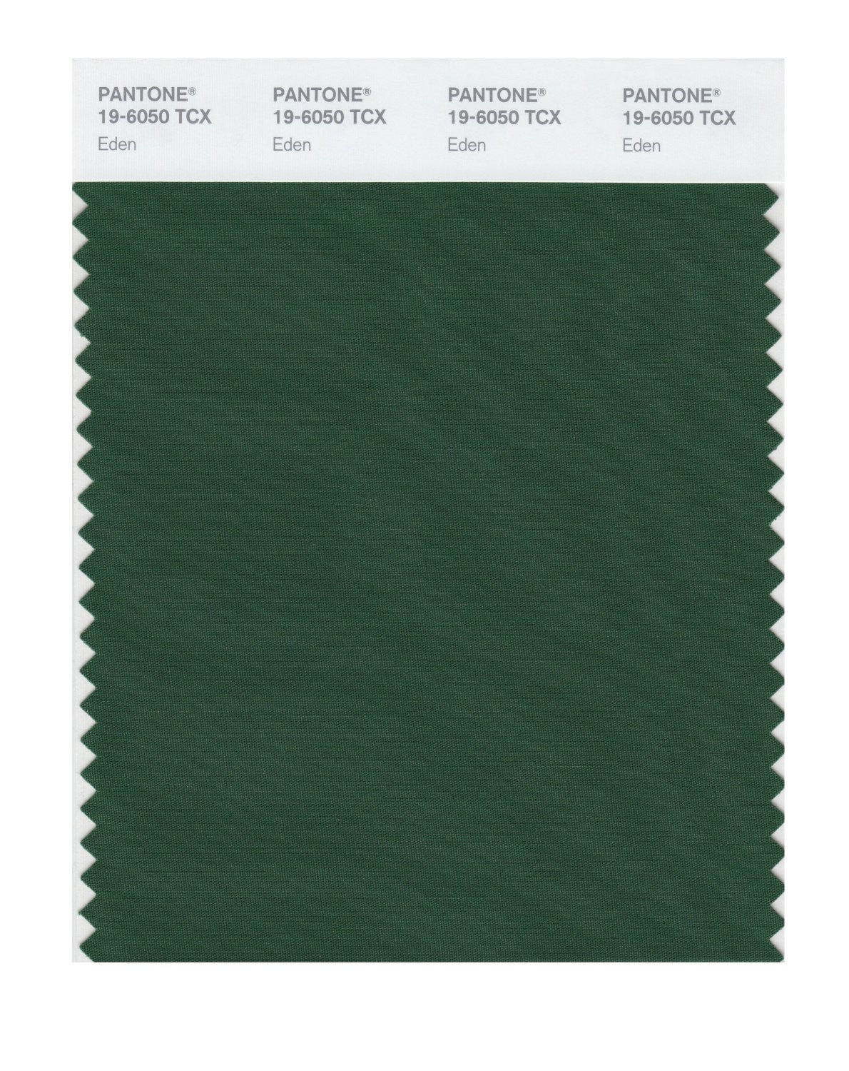 Pantone Cotton Swatch 19-6050 Eden