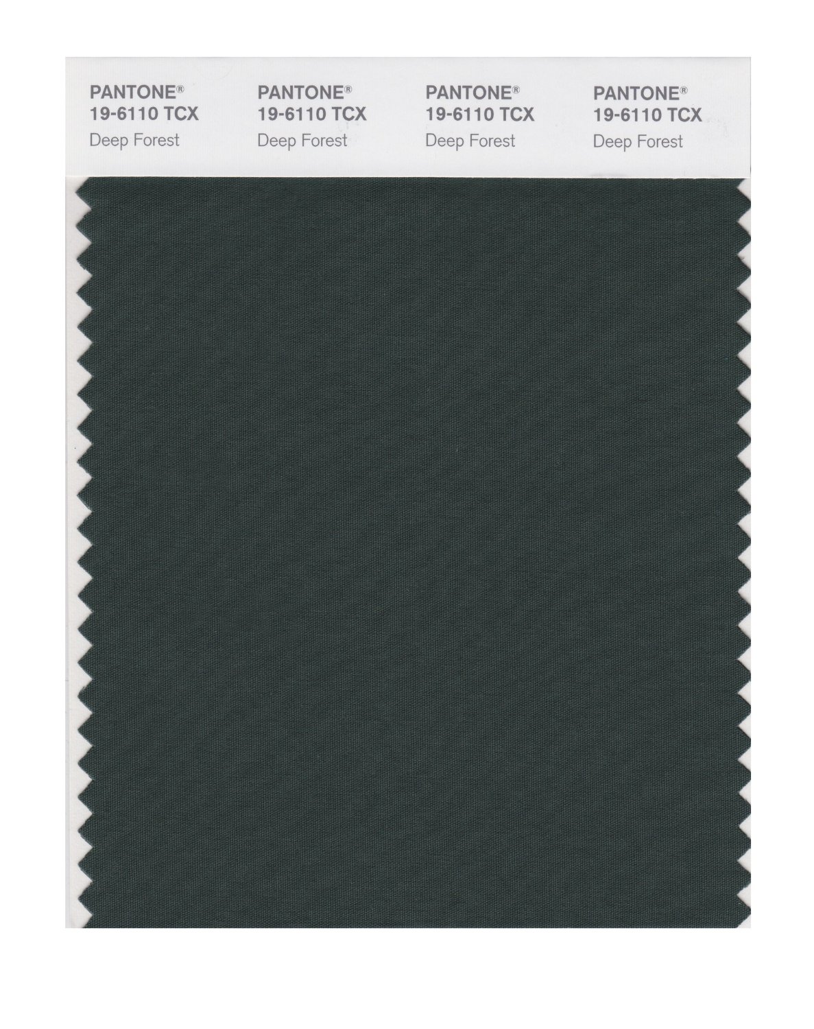 Pantone Cotton Swatch 19-6110 Deep Forest