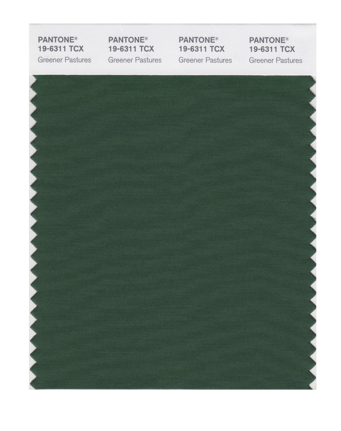 Pantone Cotton Swatch 19-6311 Greener Pasture