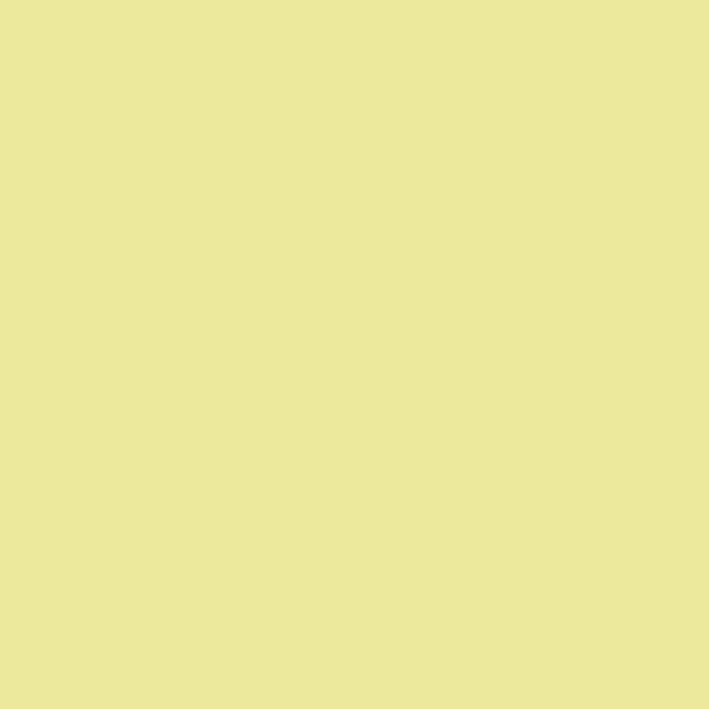 Pantone TPG Sheet 11-0623 Yellow Pear