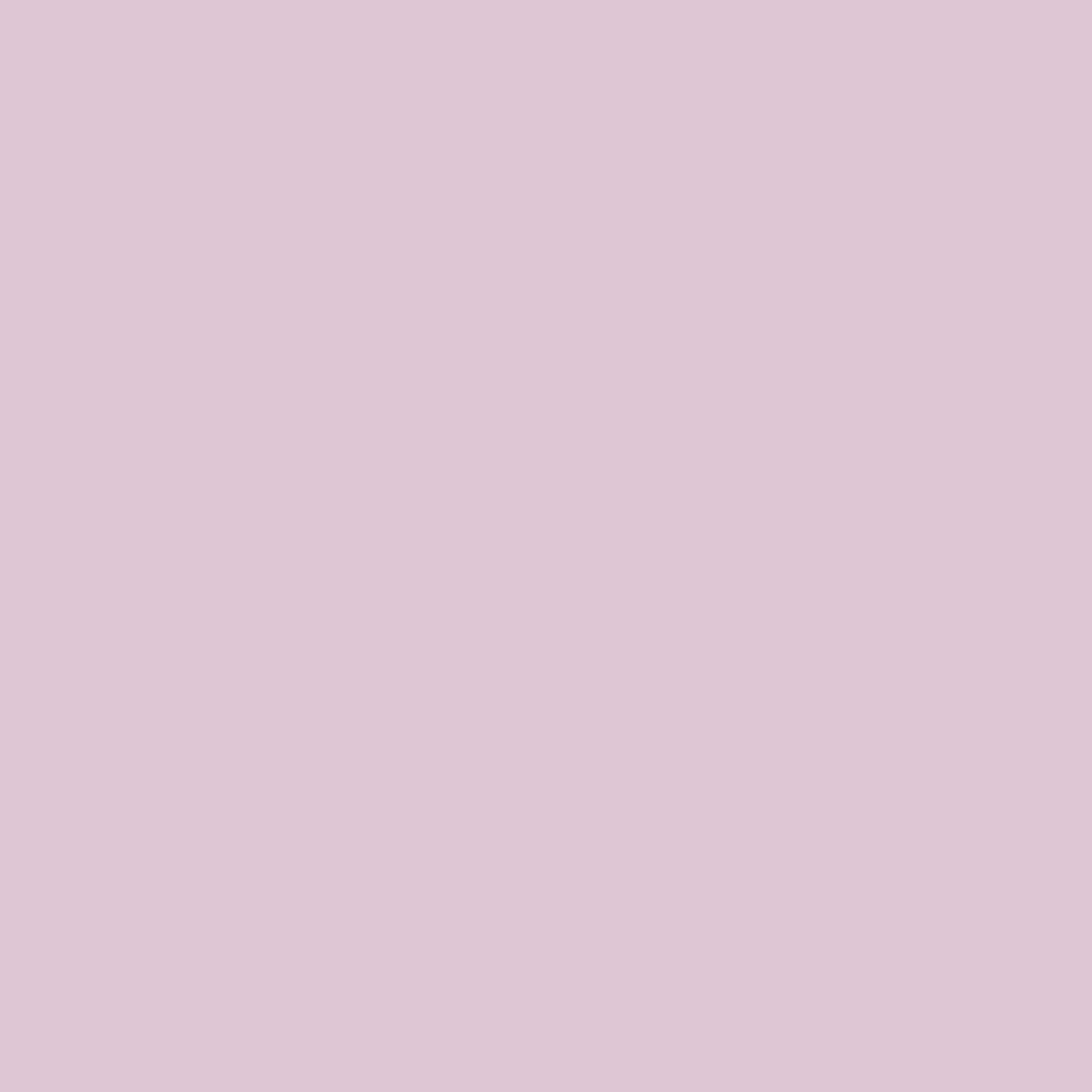 Pantone TPG Sheet 12-2903 Light Lilac