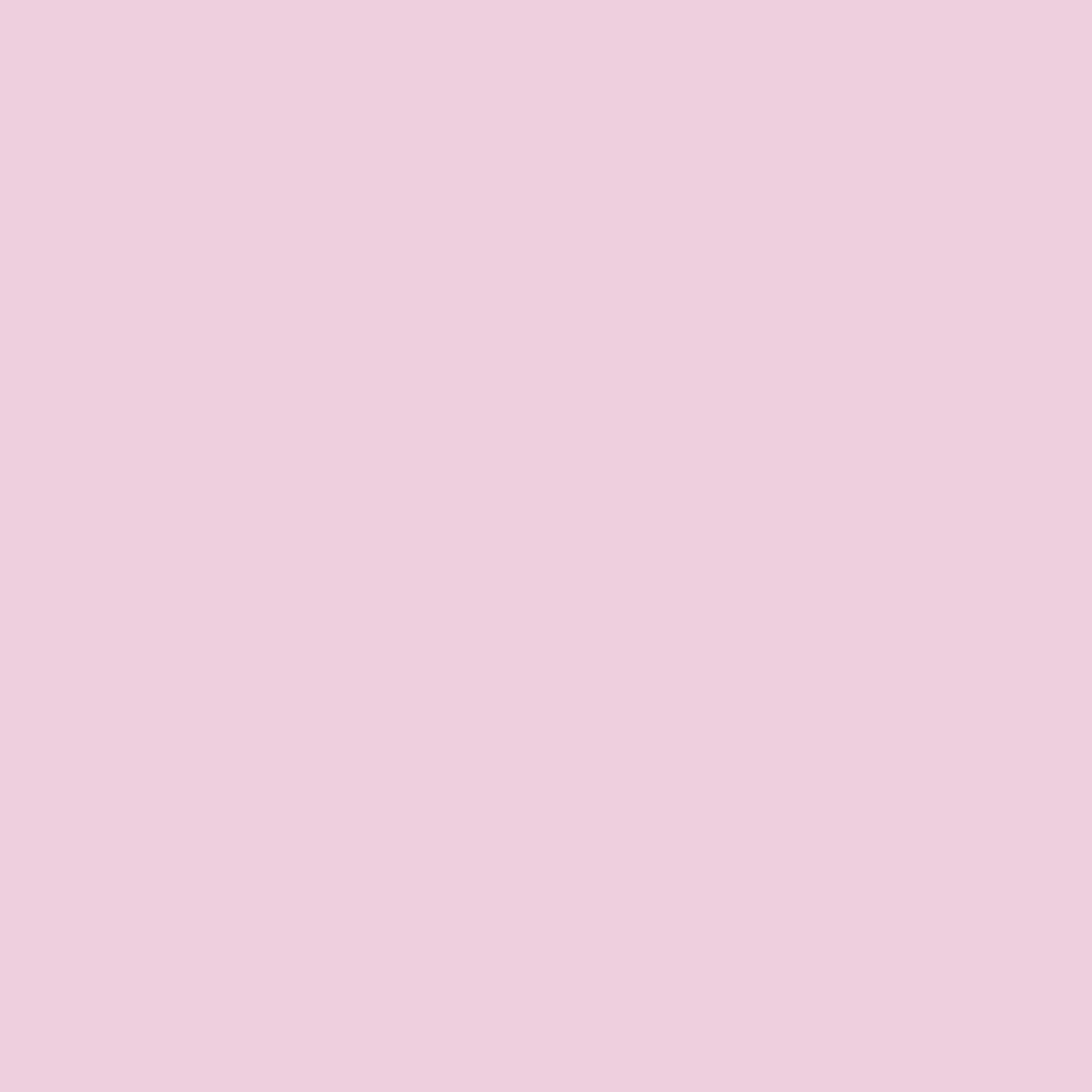Pantone TPG Sheet 12-2905 Cradle Pink